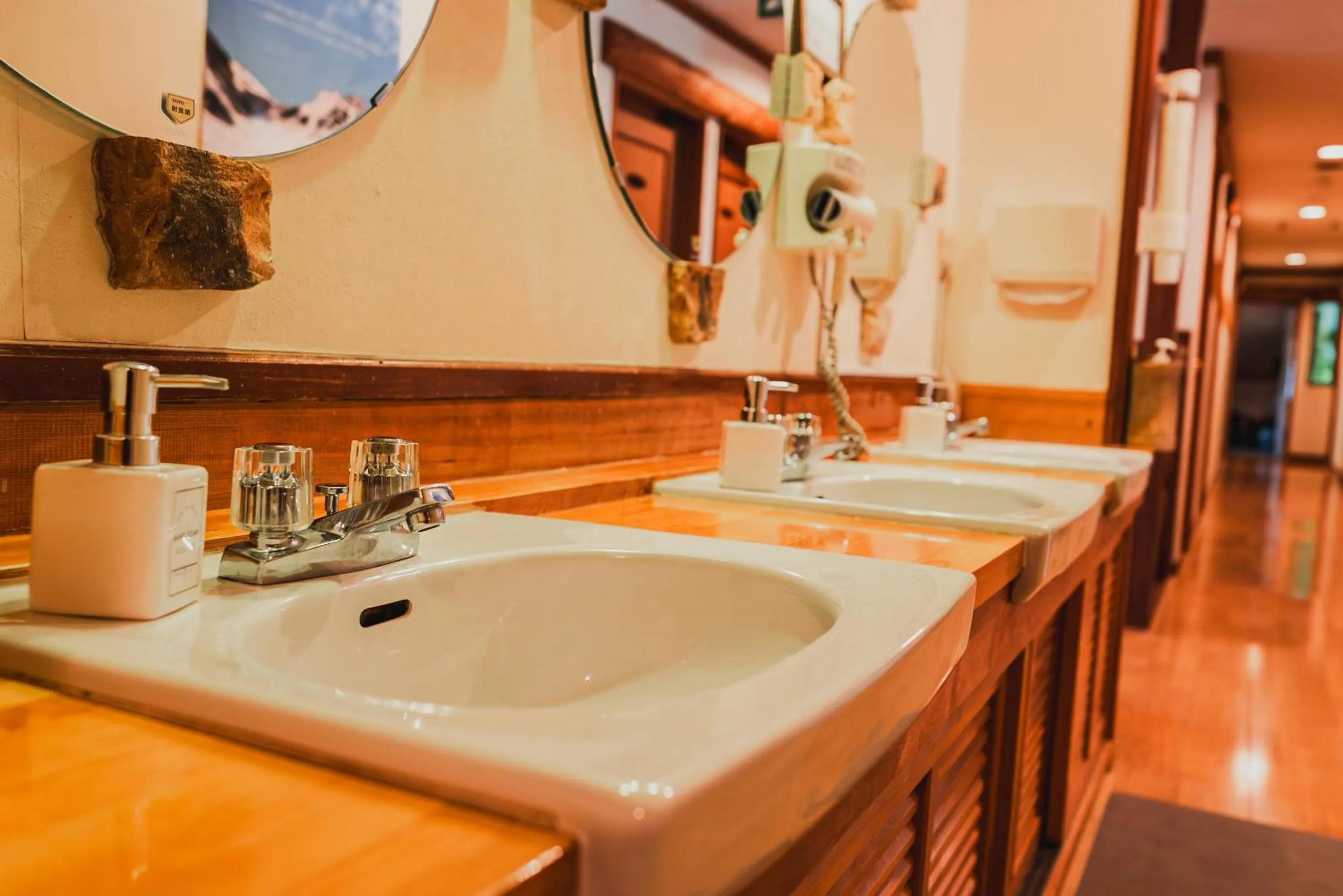 Bathroom in Hakuba Pension & Log Hotel Meteor