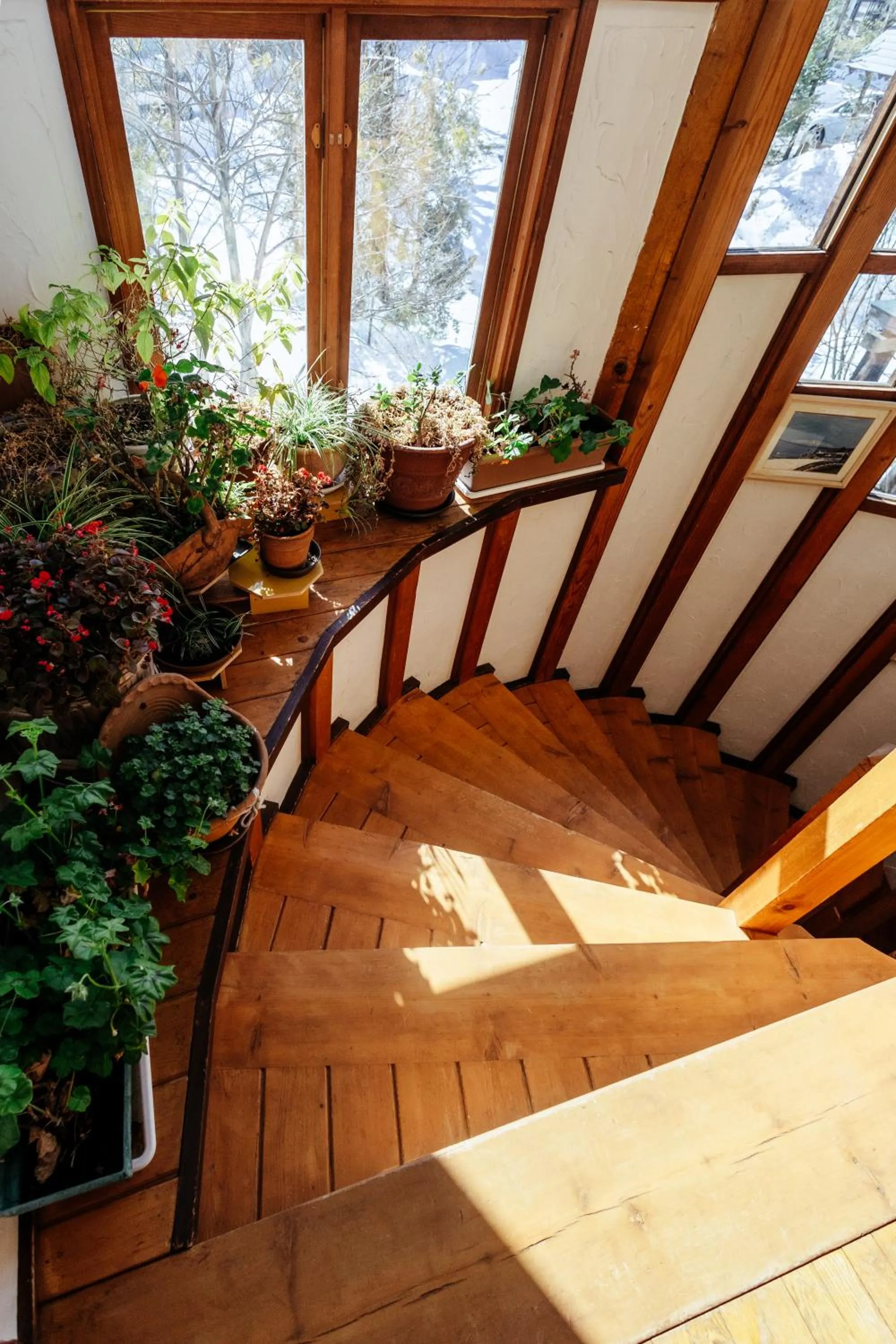 Area and facilities in Hakuba Pension & Log Hotel Meteor