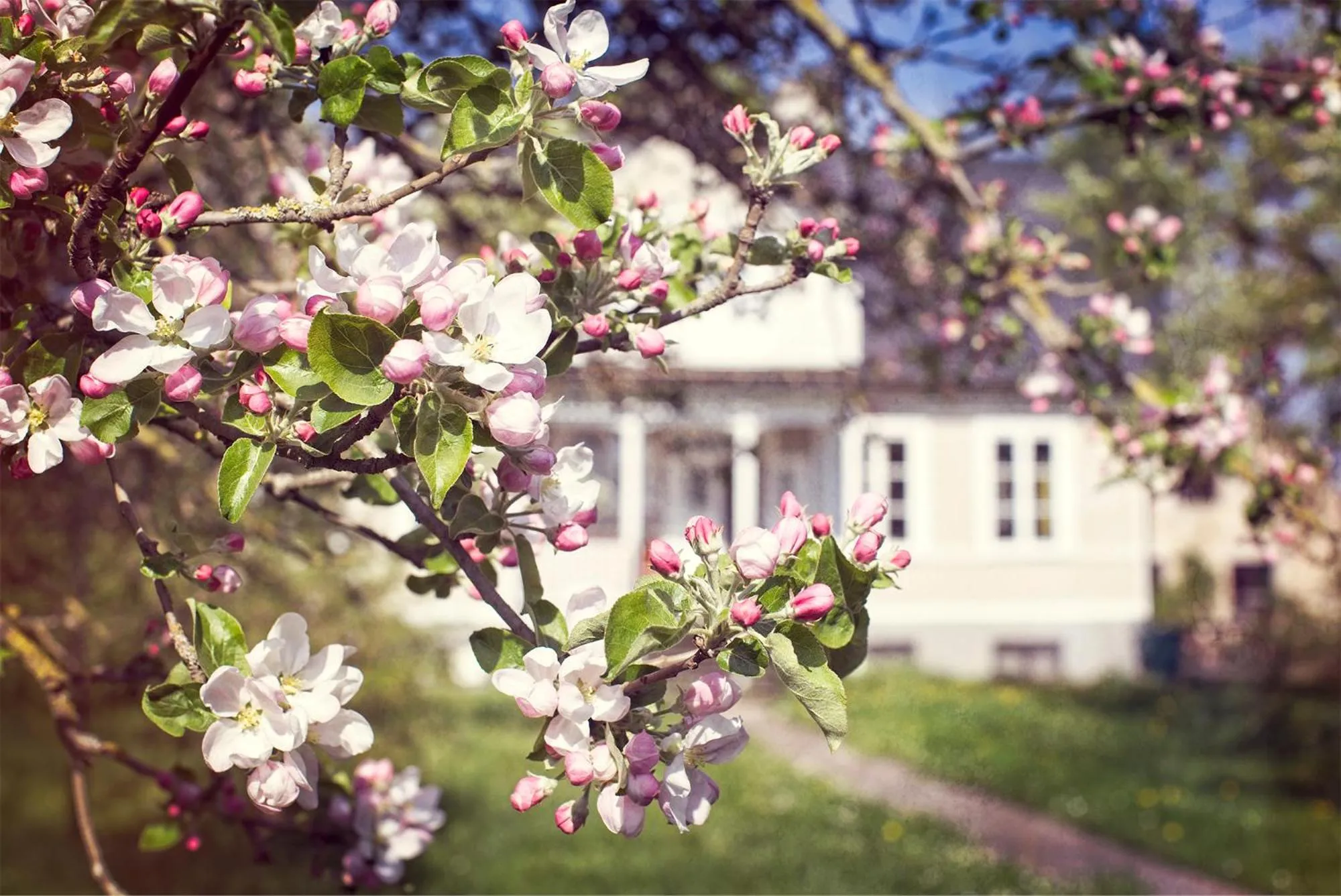 Property building in Three Pheasants Boutique Bed and Breakfast