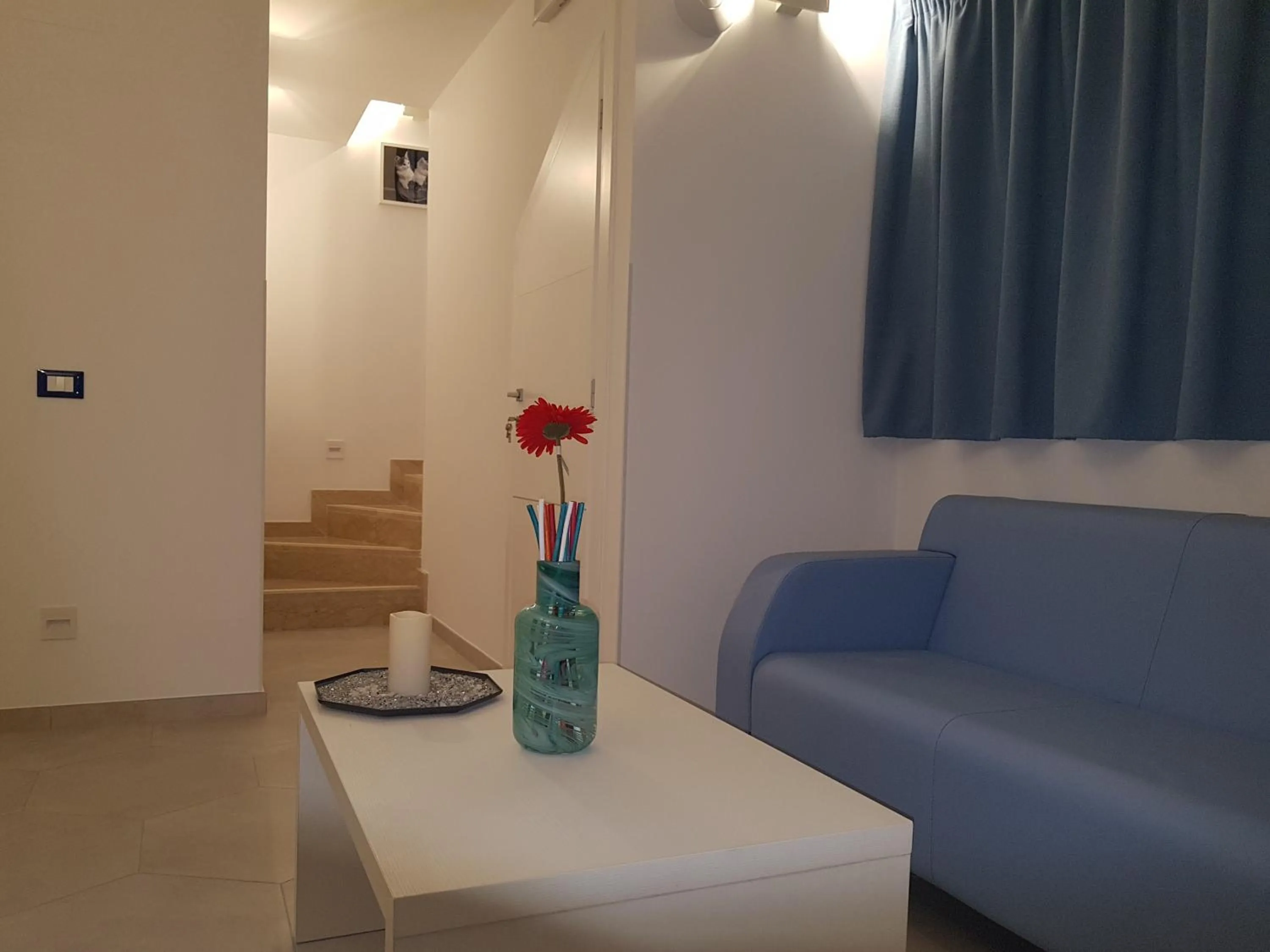 Area and facilities in B&B Aloe Comfort Rooms