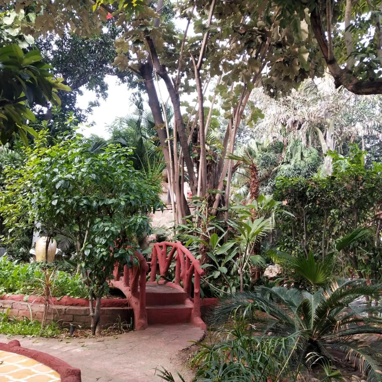 Property building in Ranjit's Svaasa Amritsar