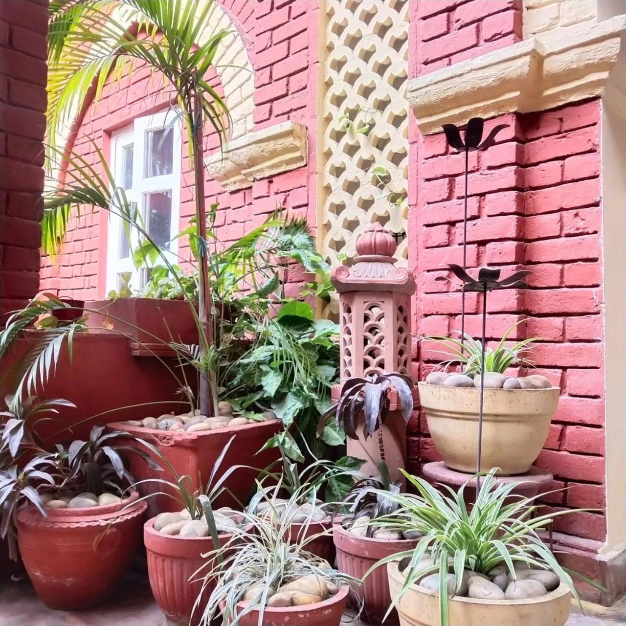 Patio in Ranjit's Svaasa Amritsar