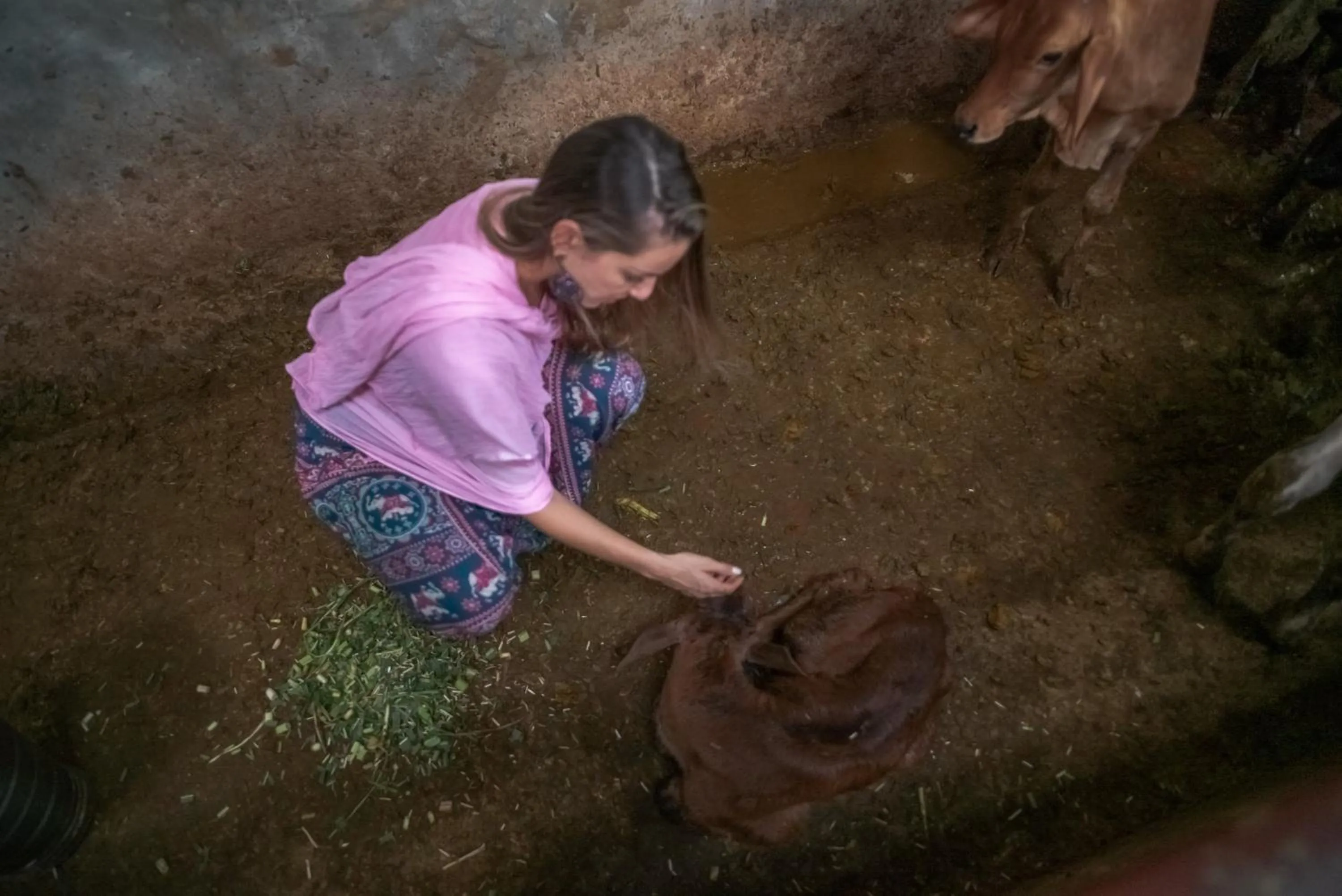 Ranjit's Svaasa Amritsar