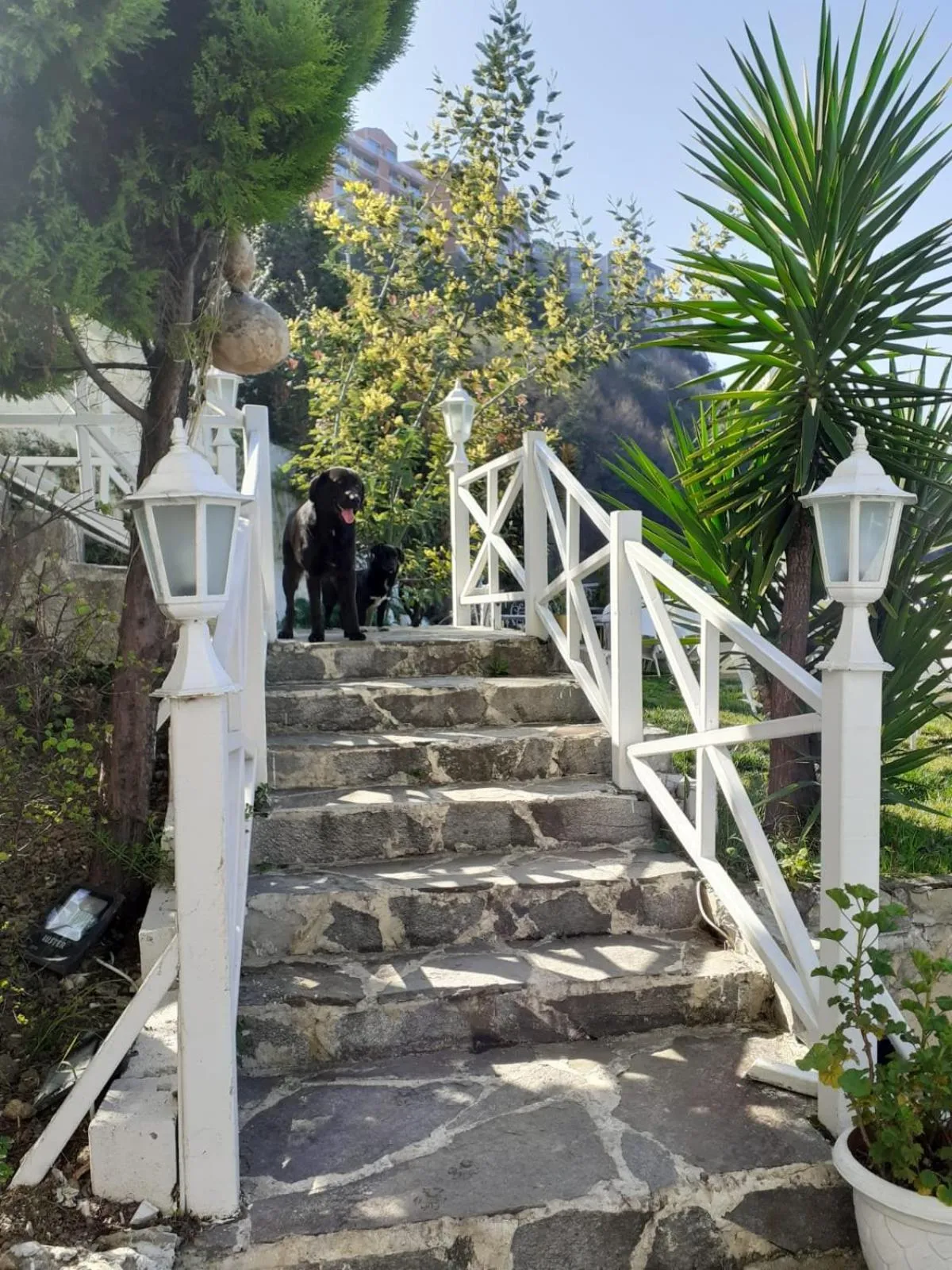 Garden in Bab-i Zer Hotel