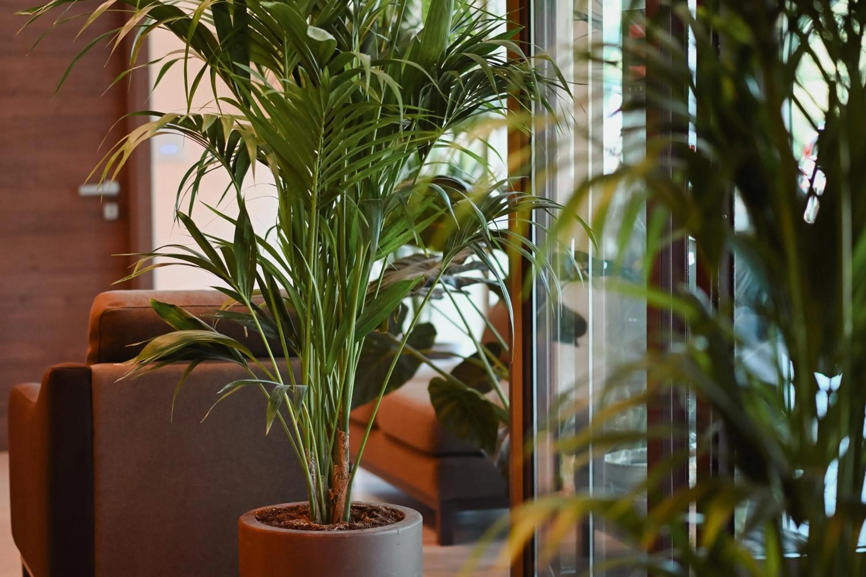 Lobby or reception in Bhotel