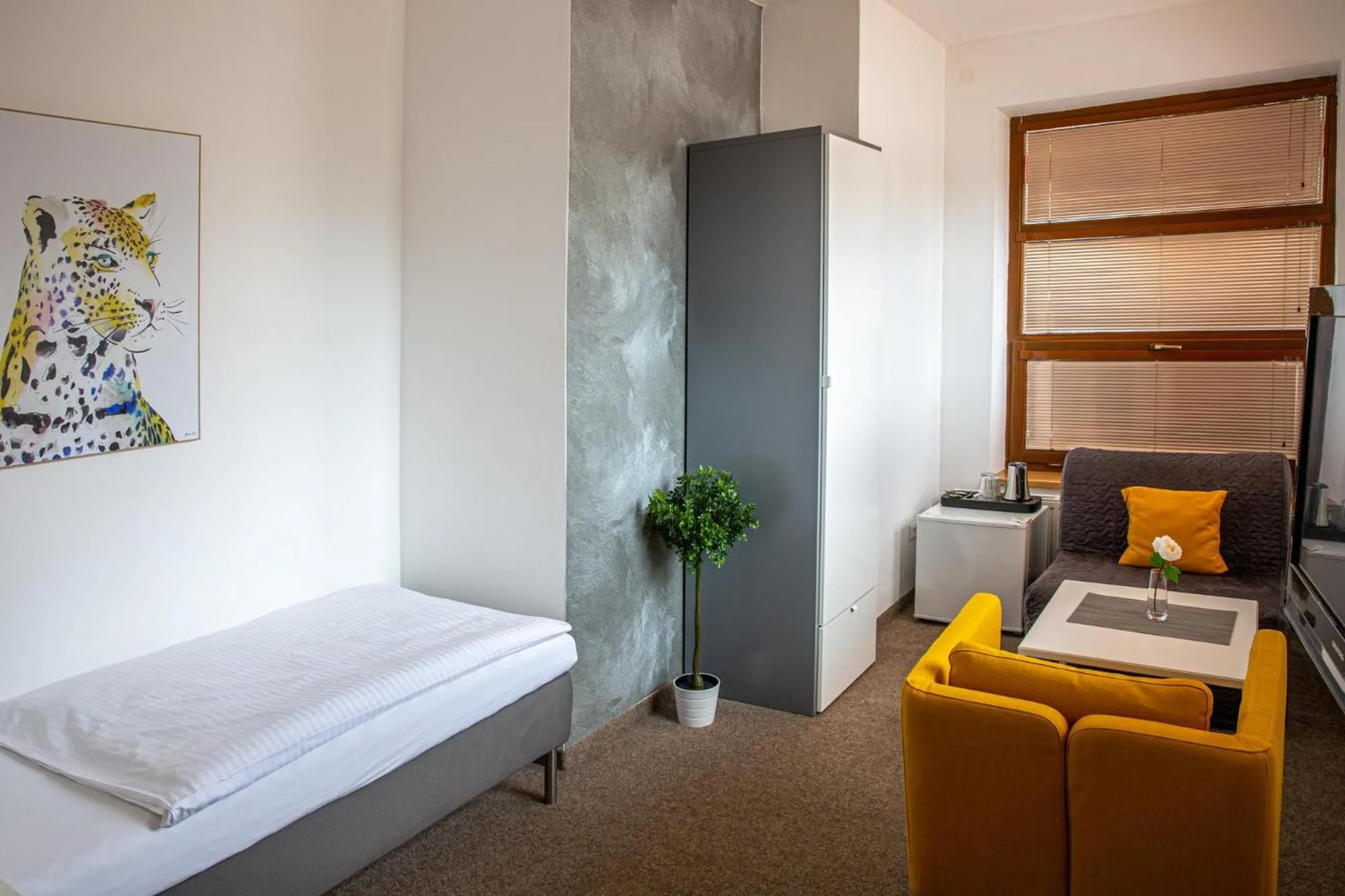 Economy Single Room in Penzion Dena
