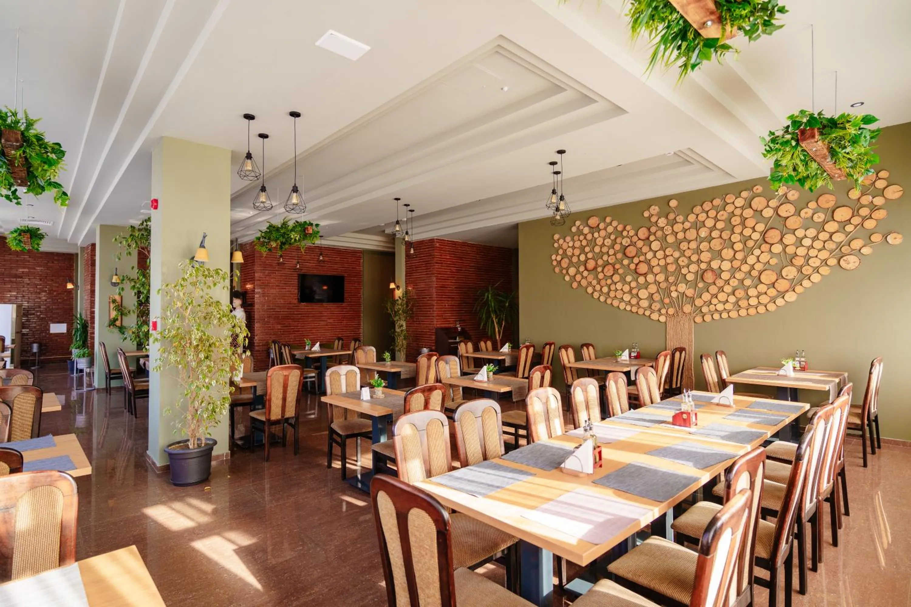 Restaurant/places to eat in Bacolux Diana, Herculane