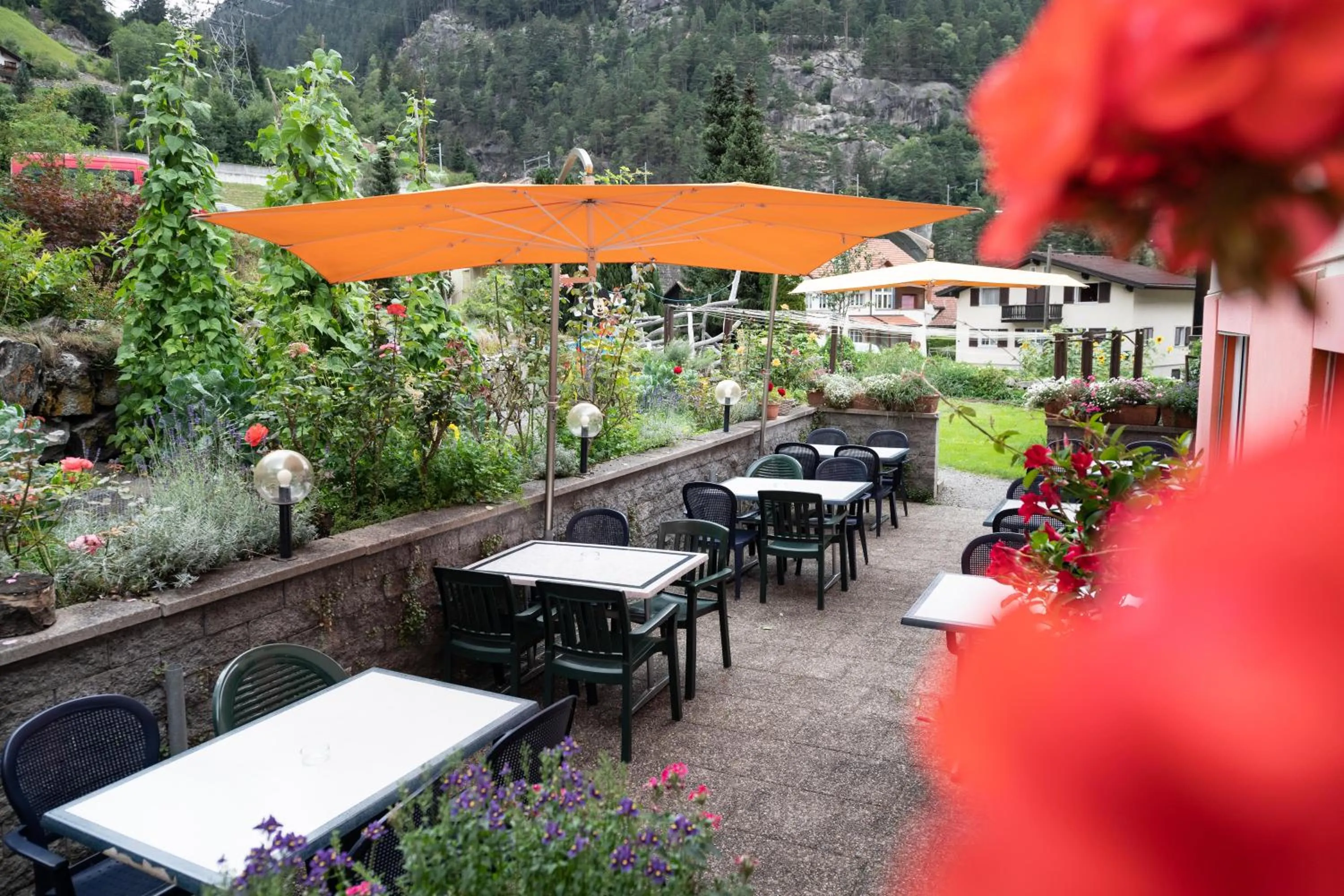 Area and facilities in Hotel Gerig