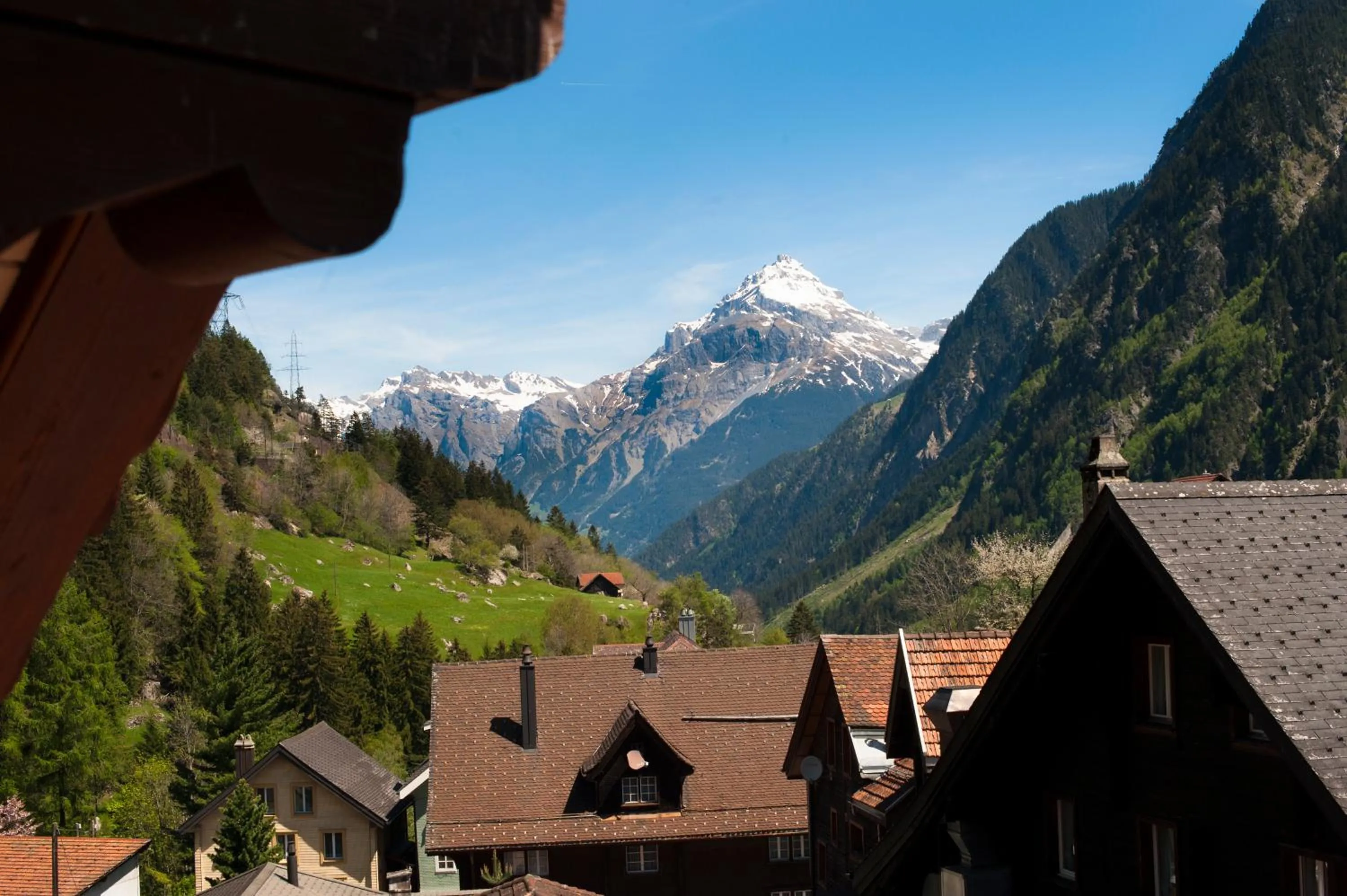 Area and facilities in Hotel Gerig