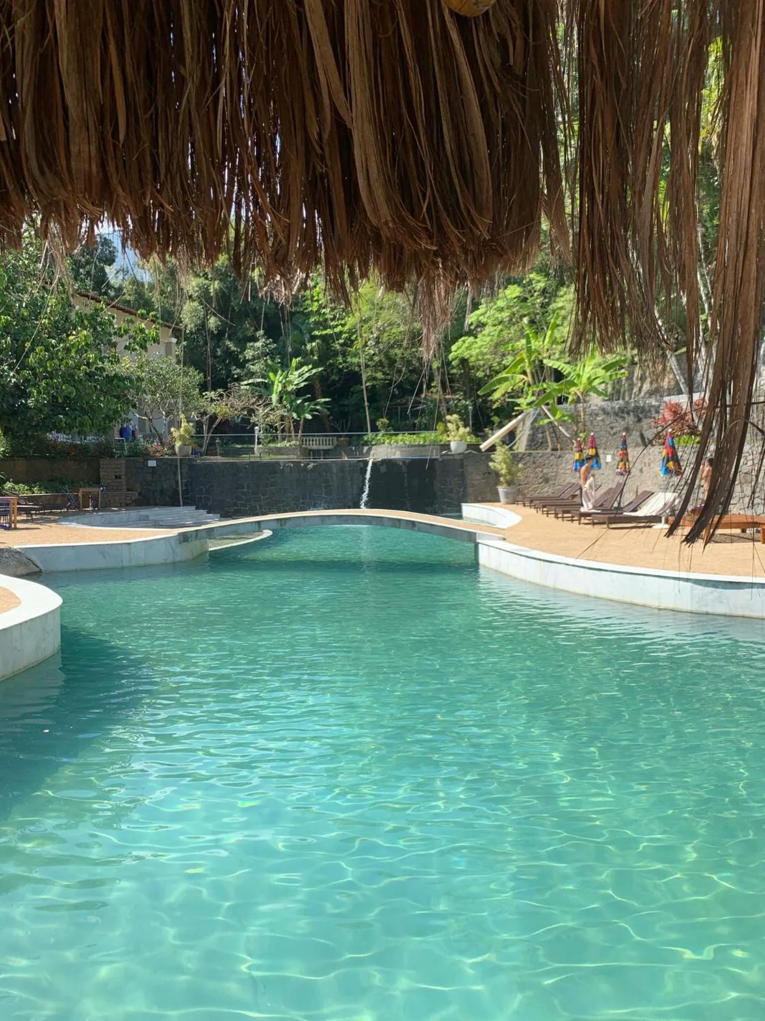 Natural landscape in Hotel Mercedes