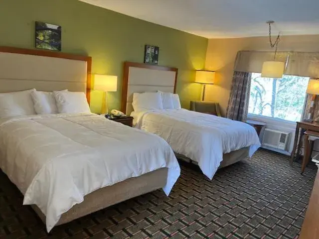 Double Room 2 Beds Non-Smoking in Arbor Inn Motor Lodge - Weymouth Double Room 2 Beds Non-Smoking in Arbor Inn Motor Lodge - Weymouth