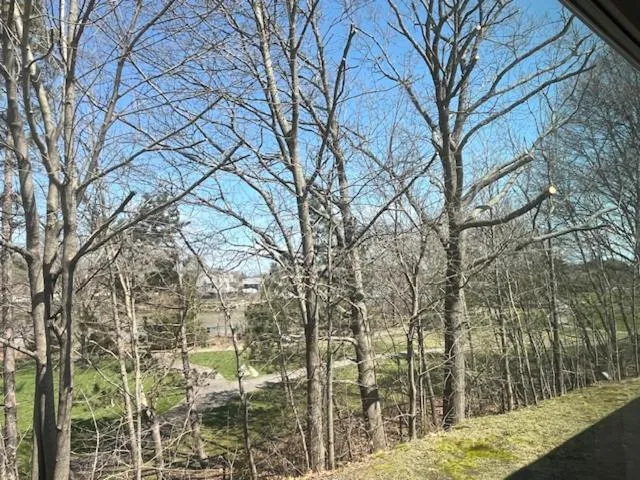 Natural landscape in Arbor Inn Motor Lodge - Weymouth