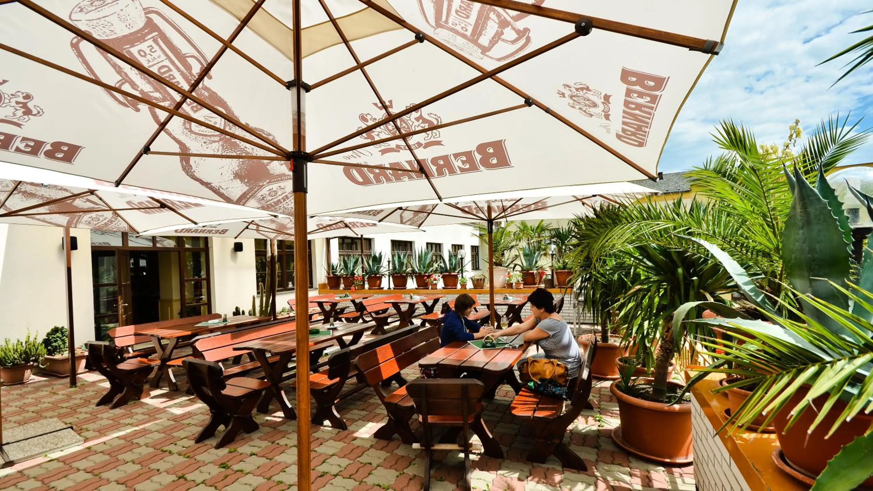 Balcony/Terrace in Hotel Kotyza
