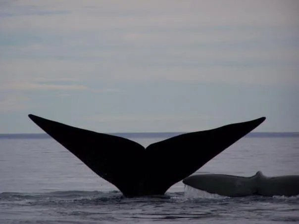 Other in Del Nomade Hosteria Ecologica