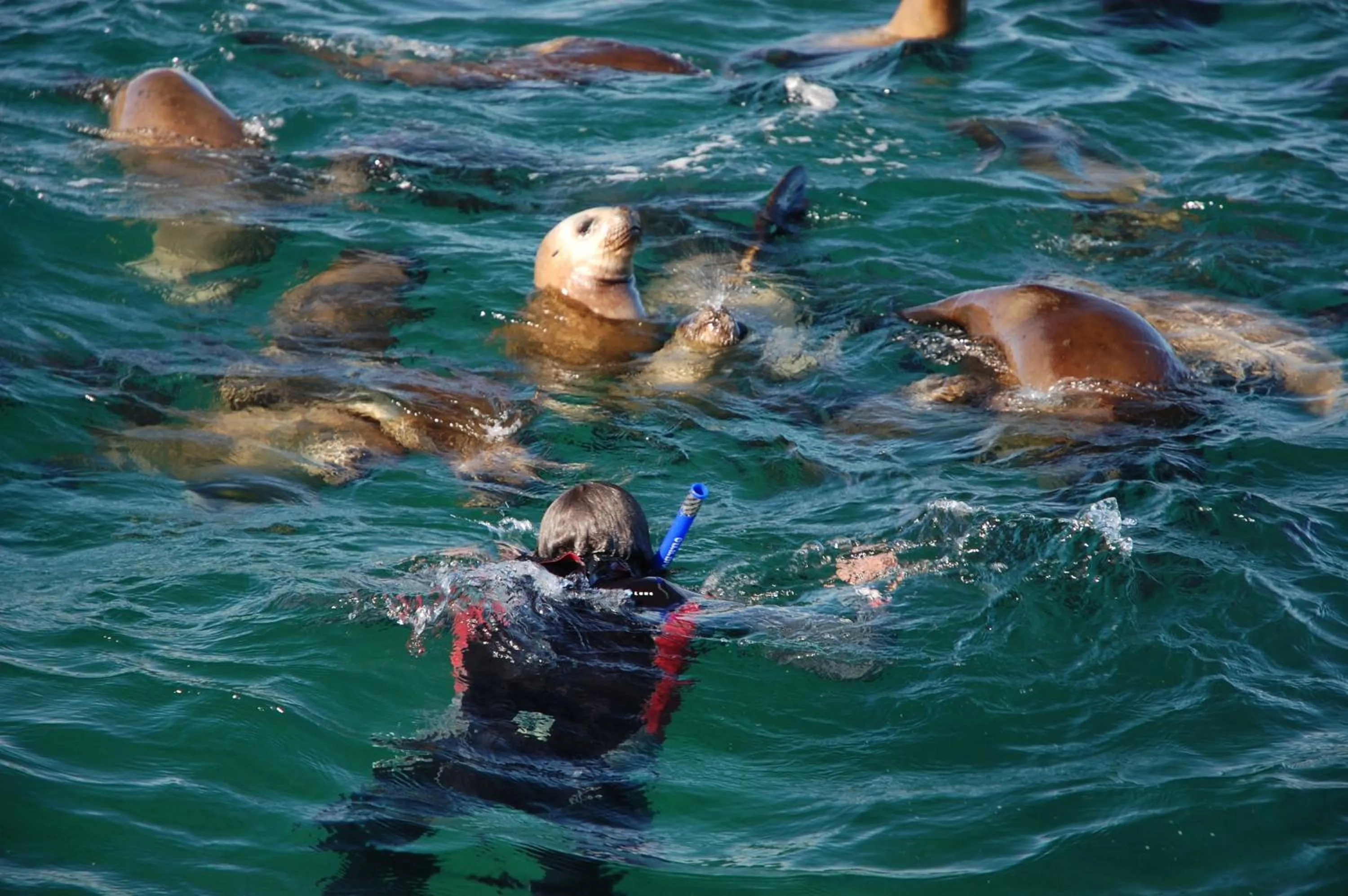 Beach in Del Nomade Hosteria Ecologica