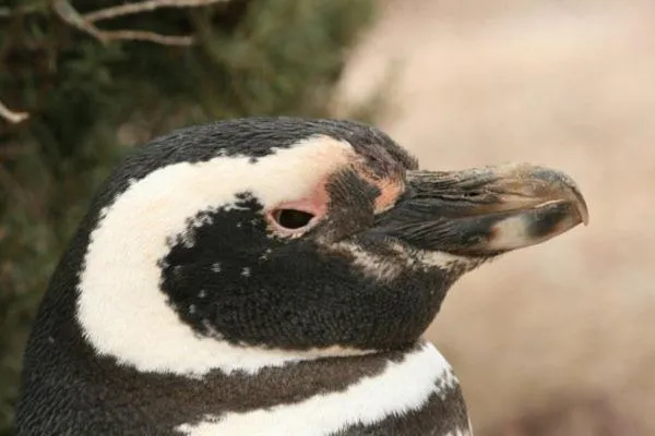 Activities in Del Nomade Hosteria Ecologica