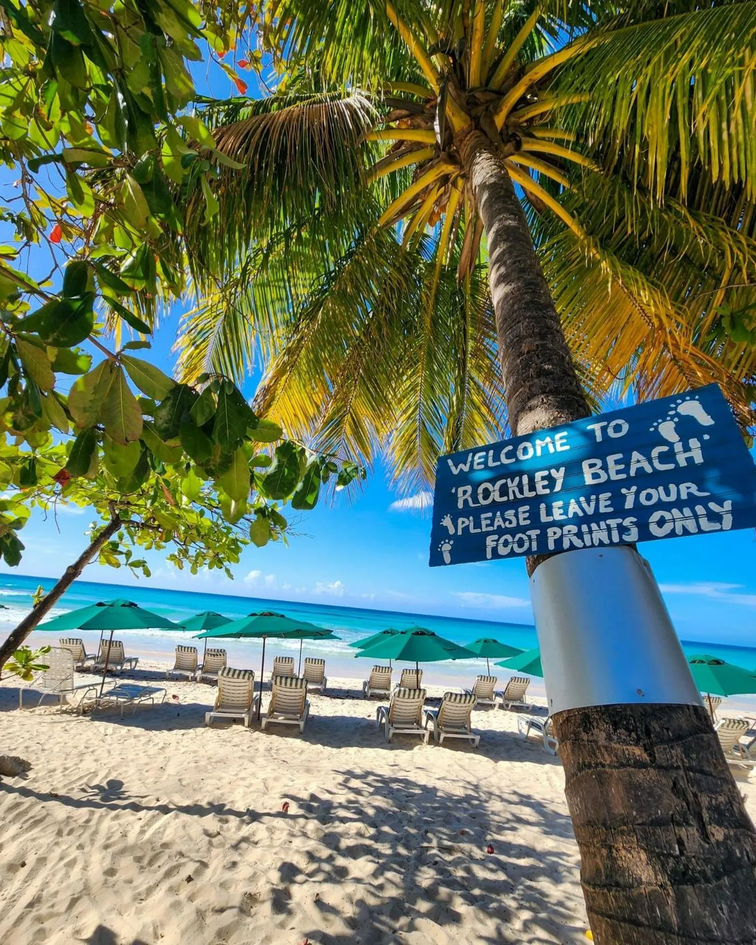 Beach in Blue Horizon Hotel