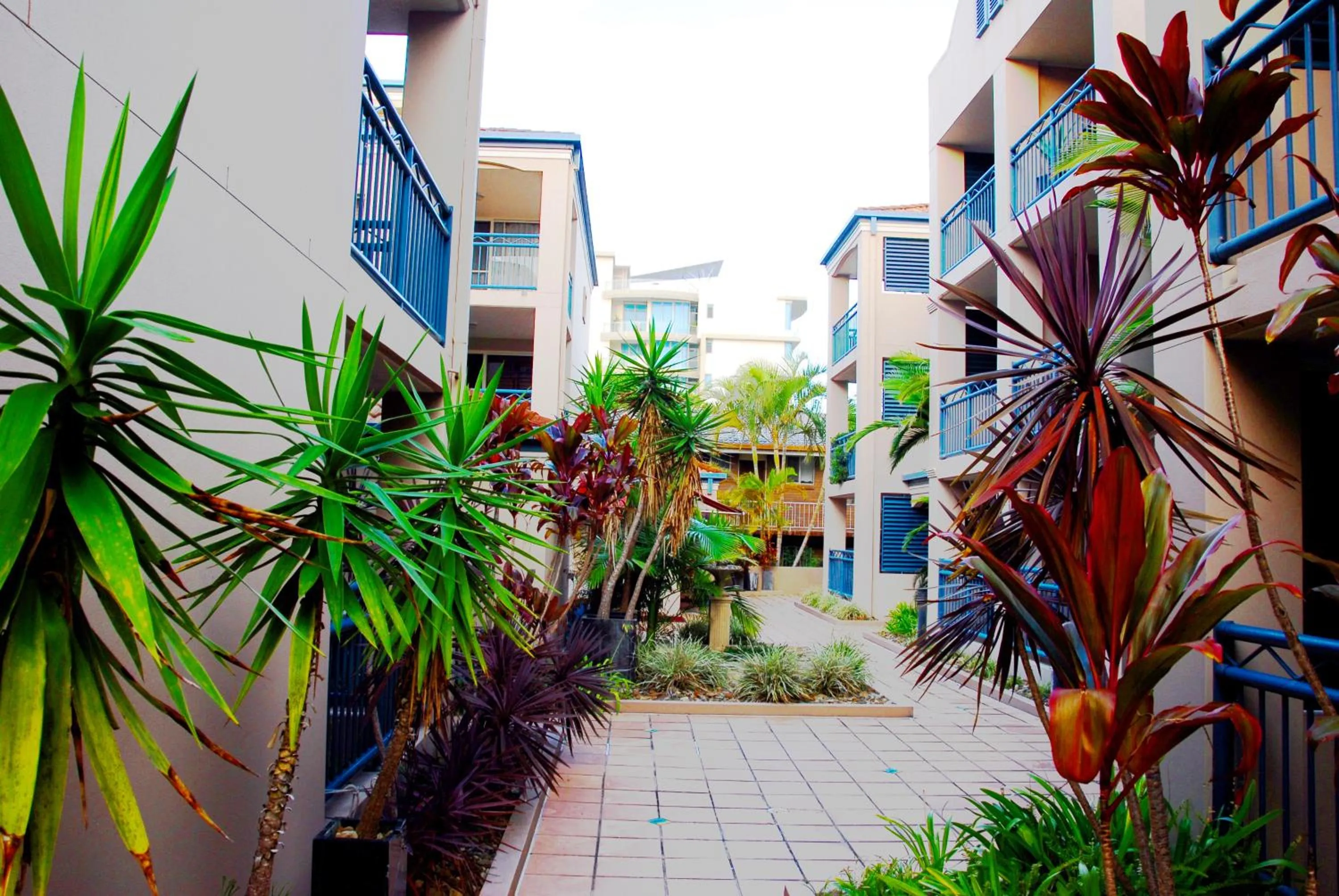 Day in Montego Sands Resort