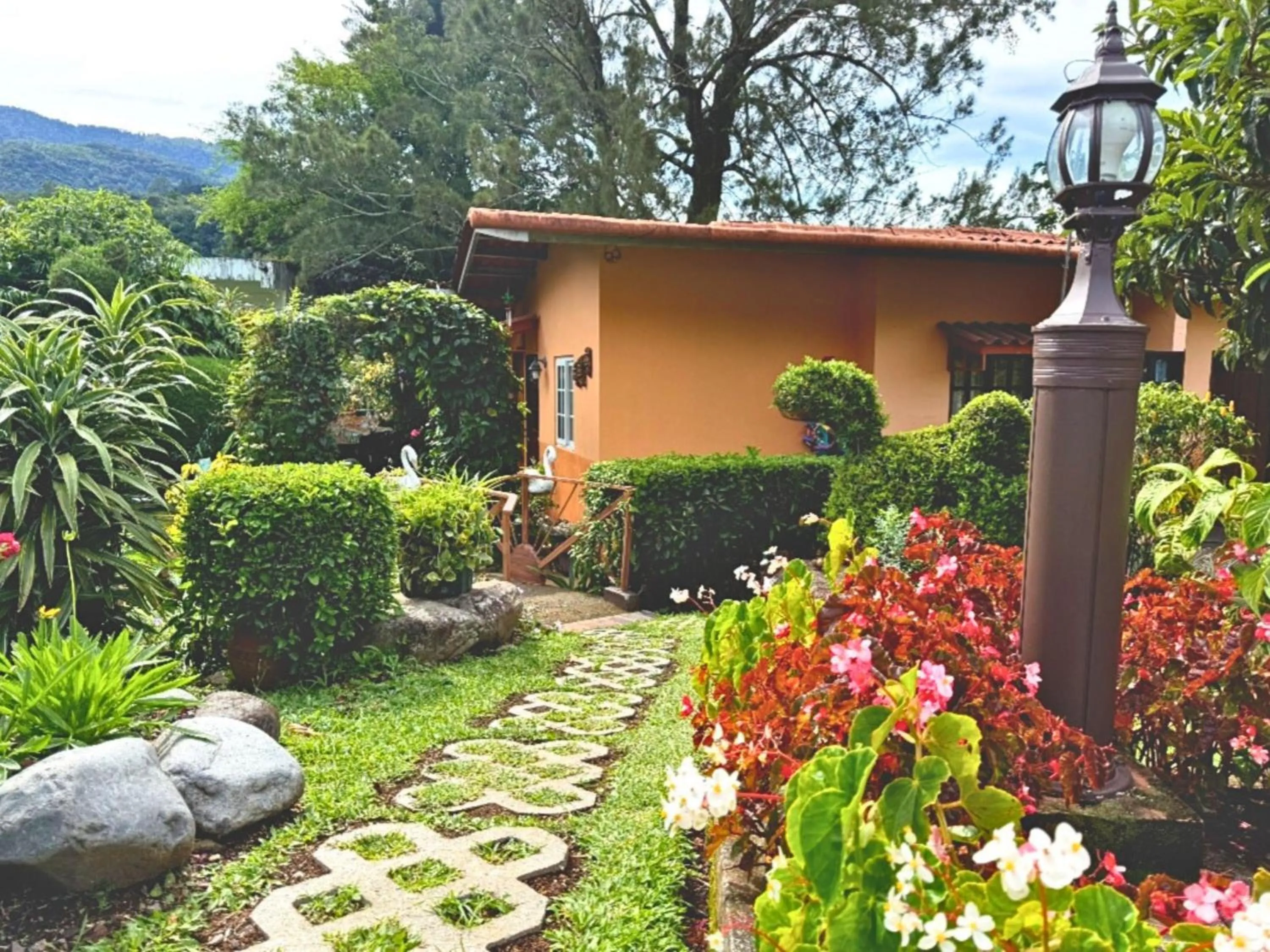 Garden in Aparthotel Los Pinos