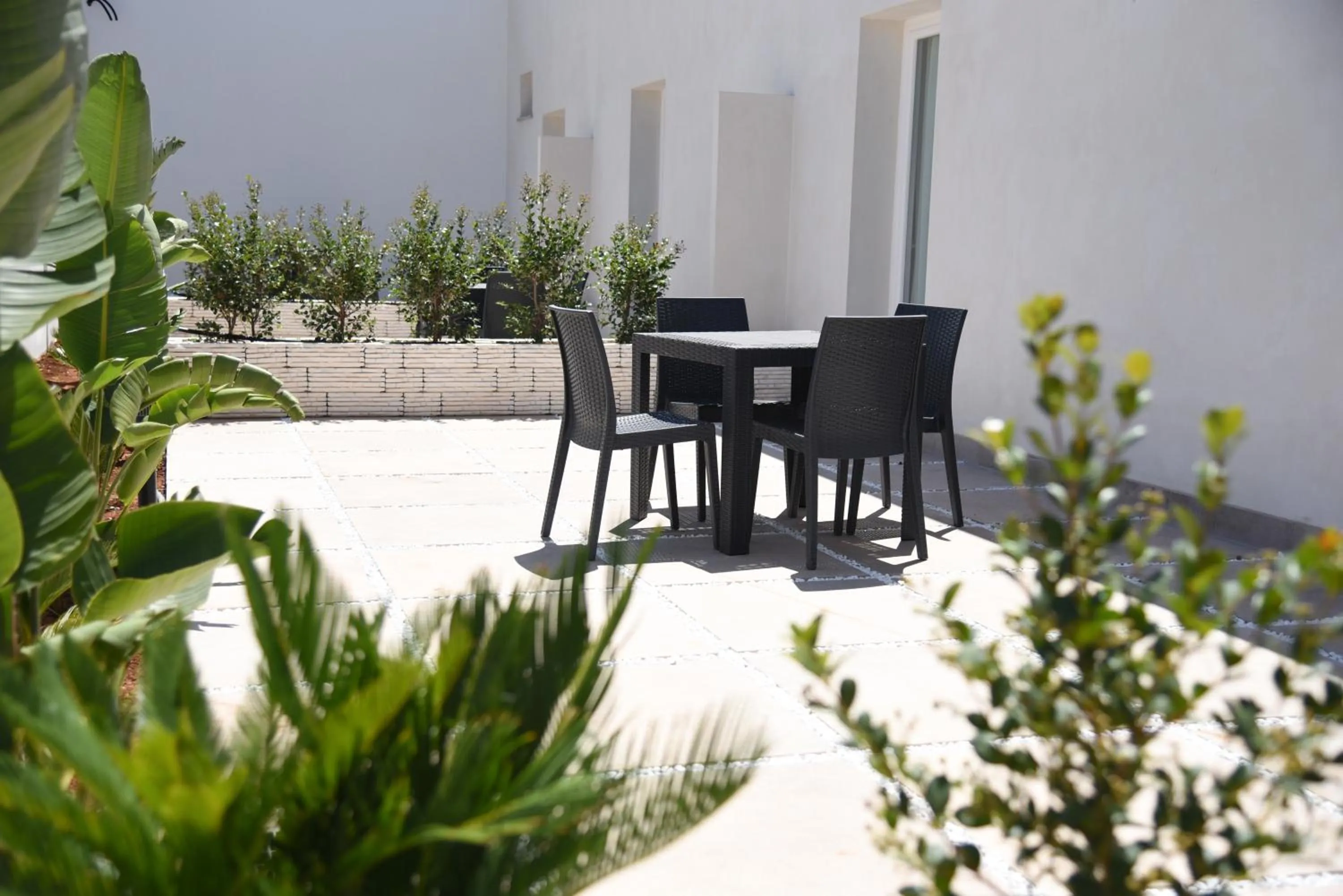 Garden in Hotel Belsito