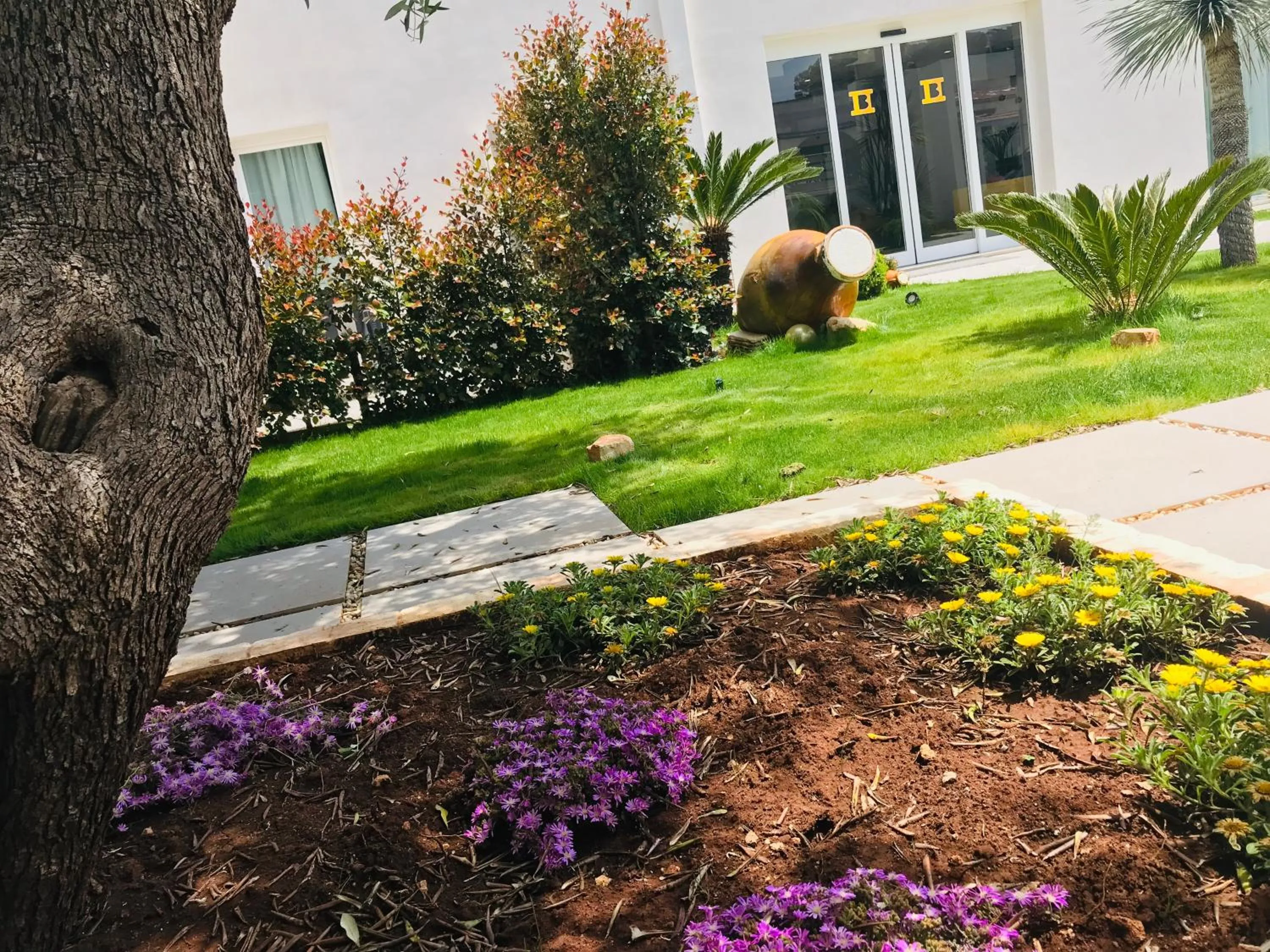 Garden in Hotel Belsito