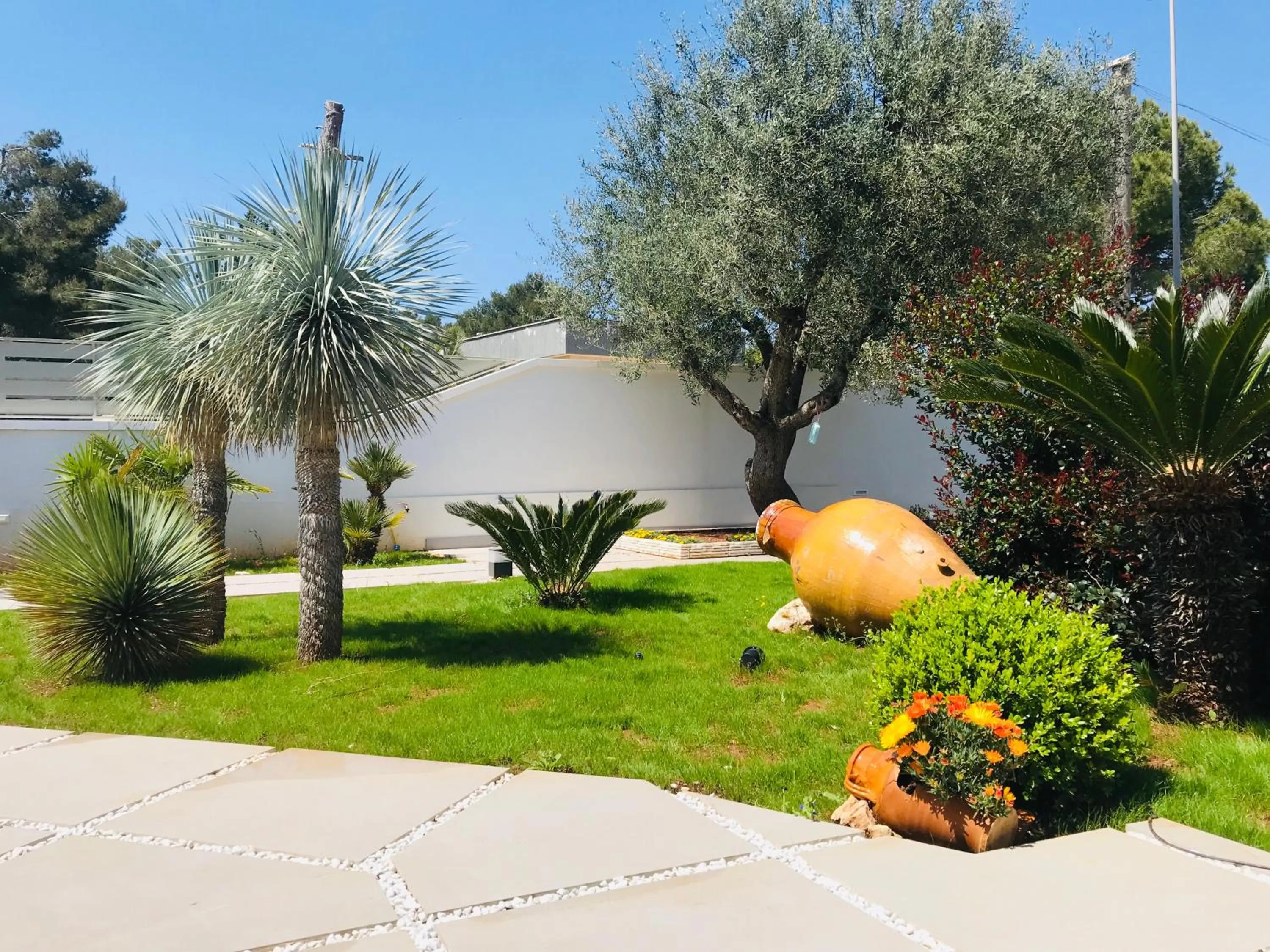 Garden in Hotel Belsito