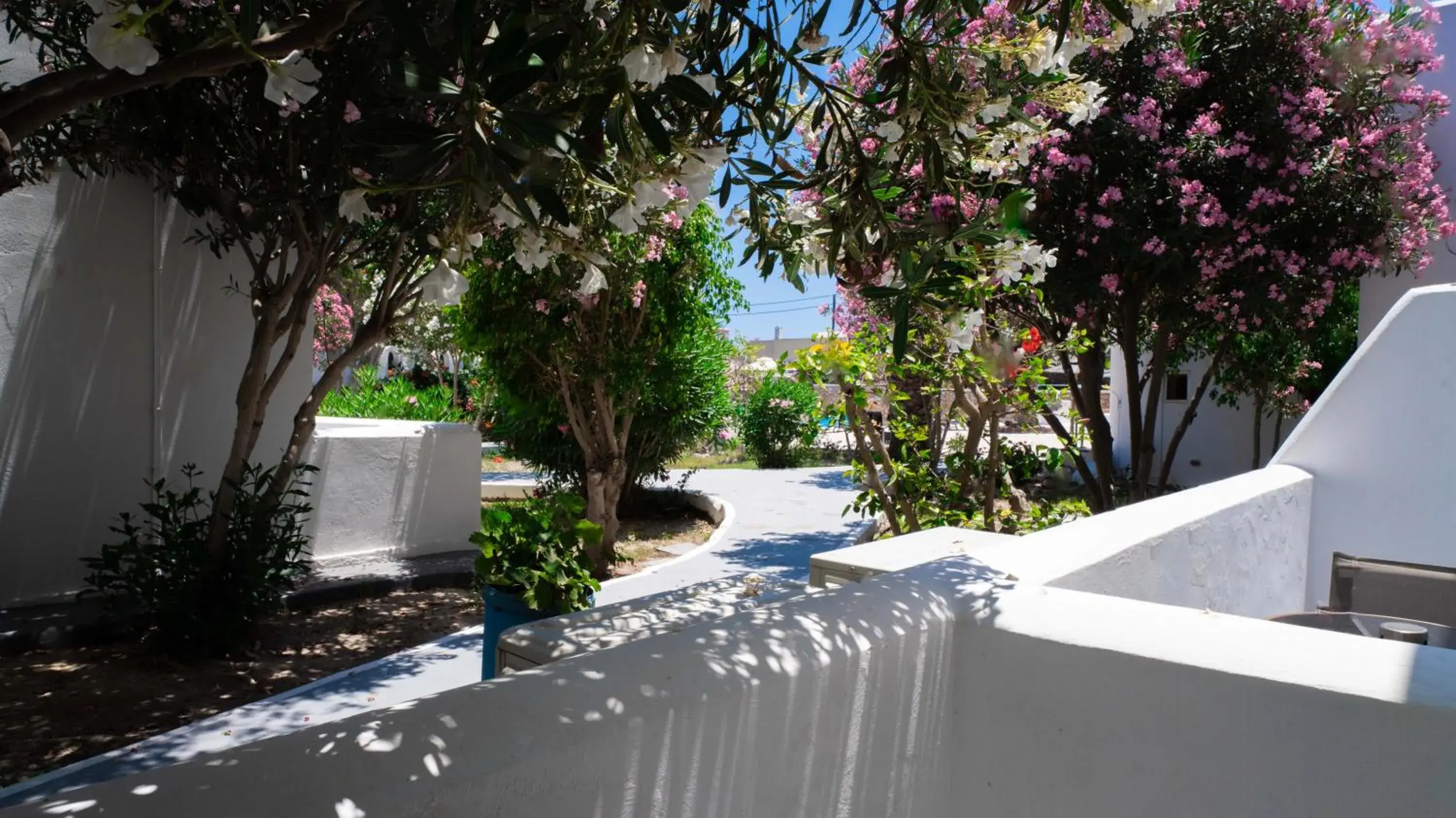 Economy Twin Room in Albatros Hotel Economy Twin Room in Albatros Hotel