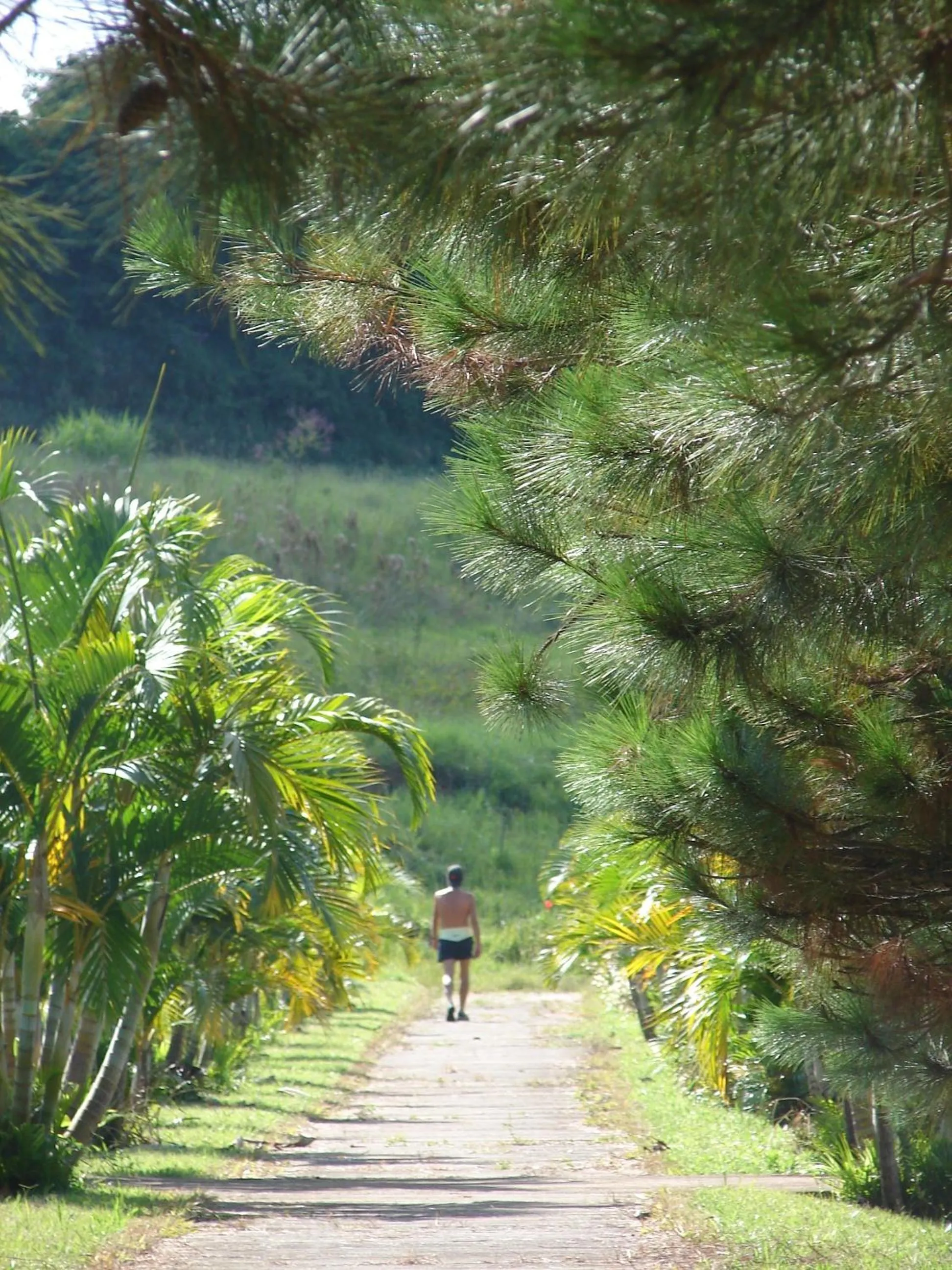 Parque Hotel de Lambari
