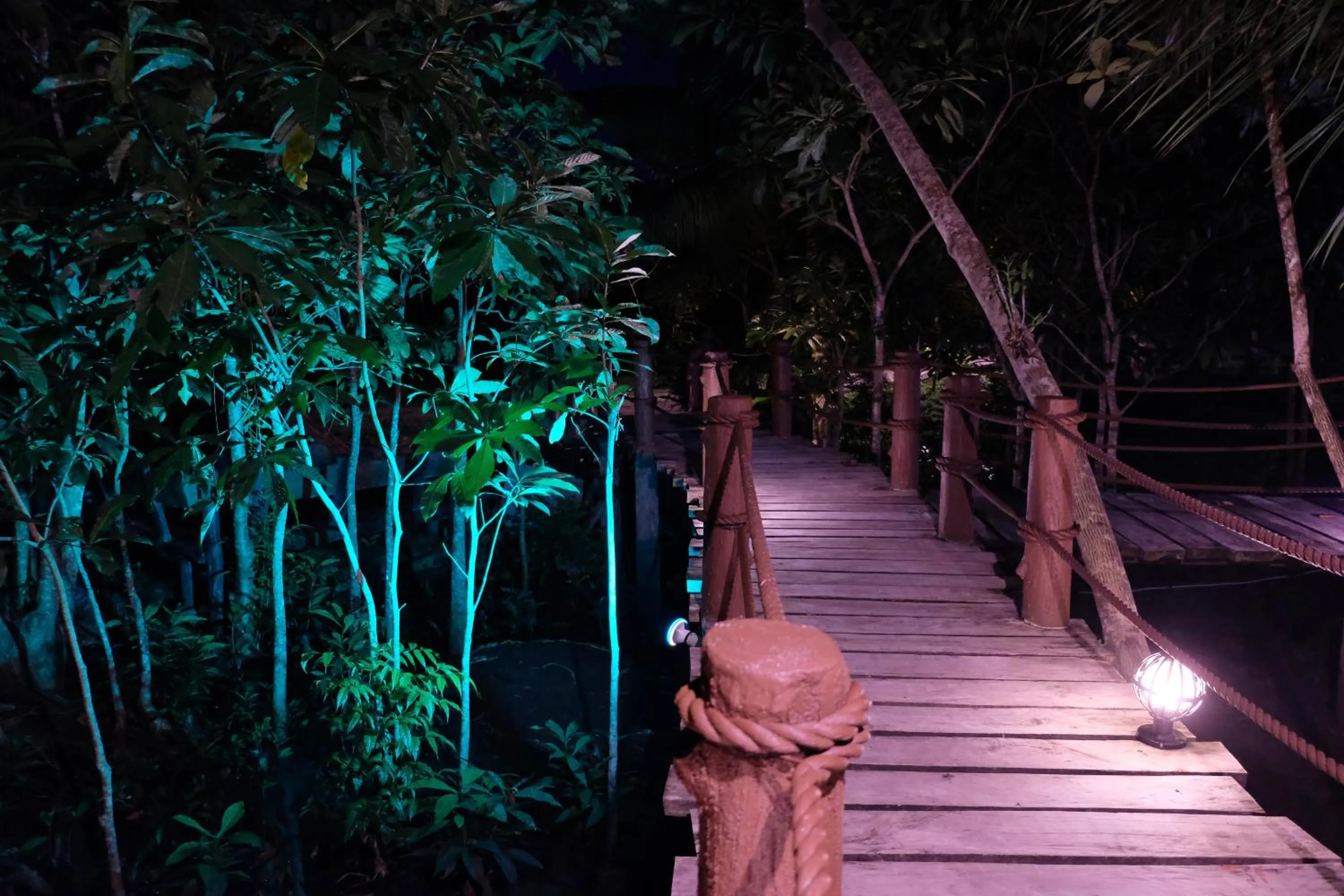 Garden view in Loboc River Resort