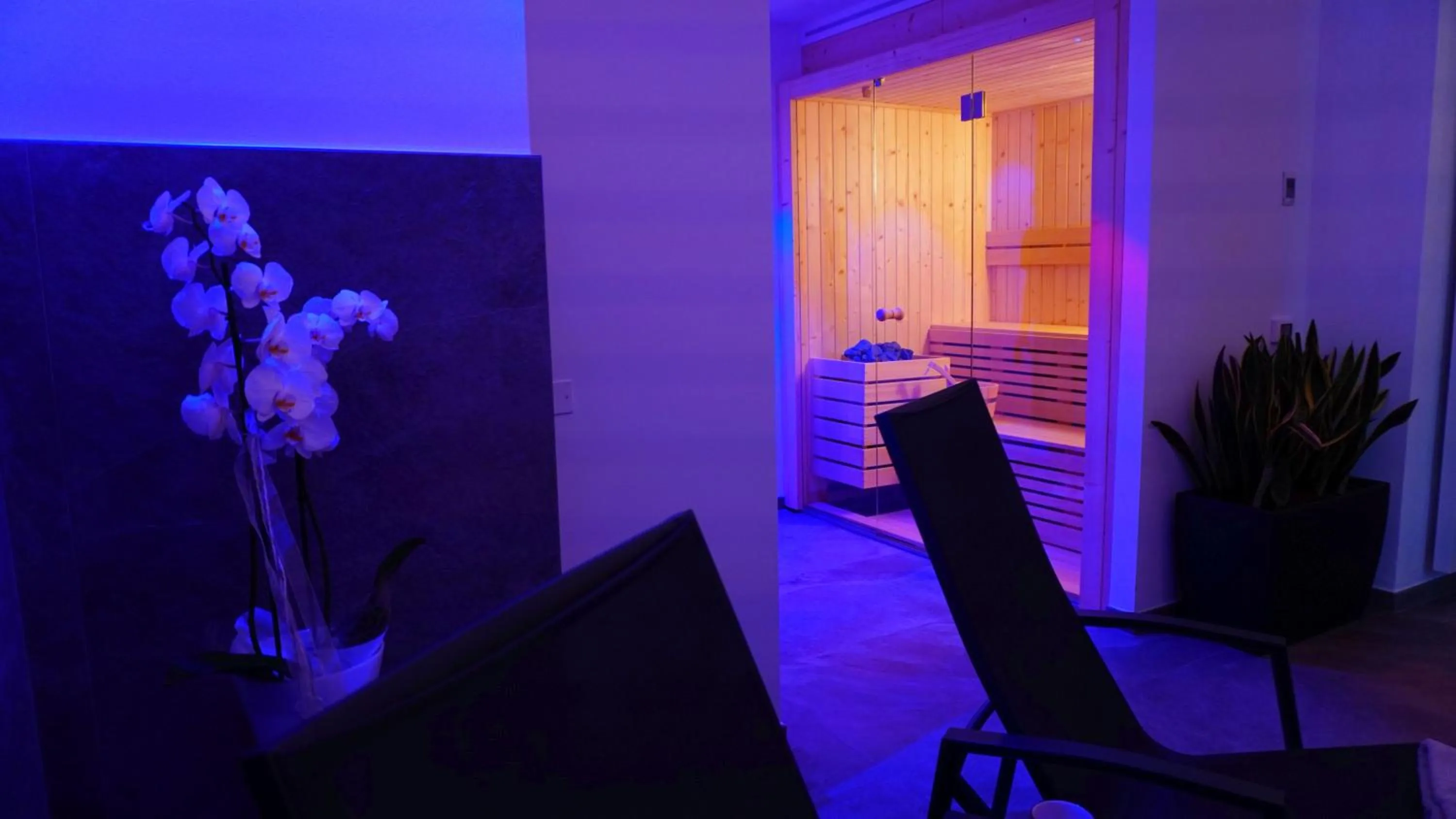 Sauna in Park Hotel Val Di Monte ***S