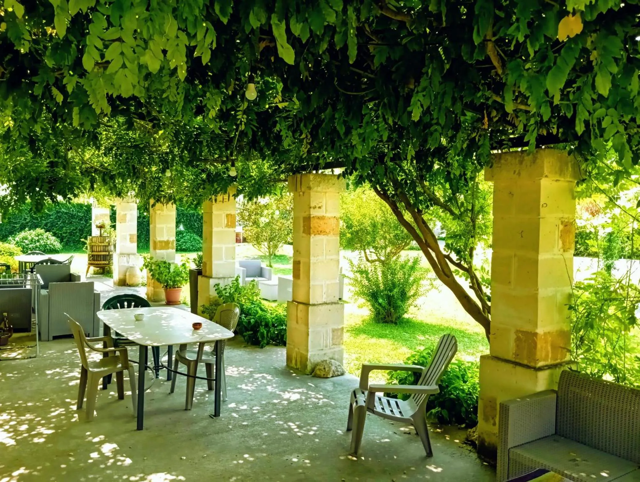 Garden view in B&B Villa Sofia