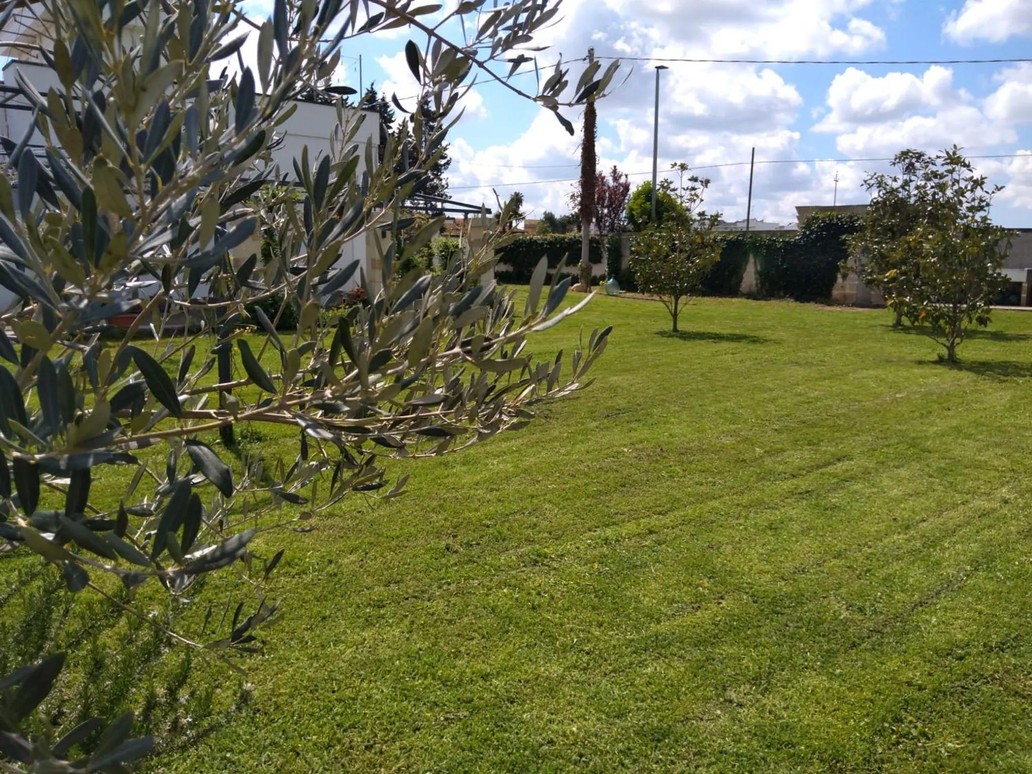 Garden in B&B Villa Sofia