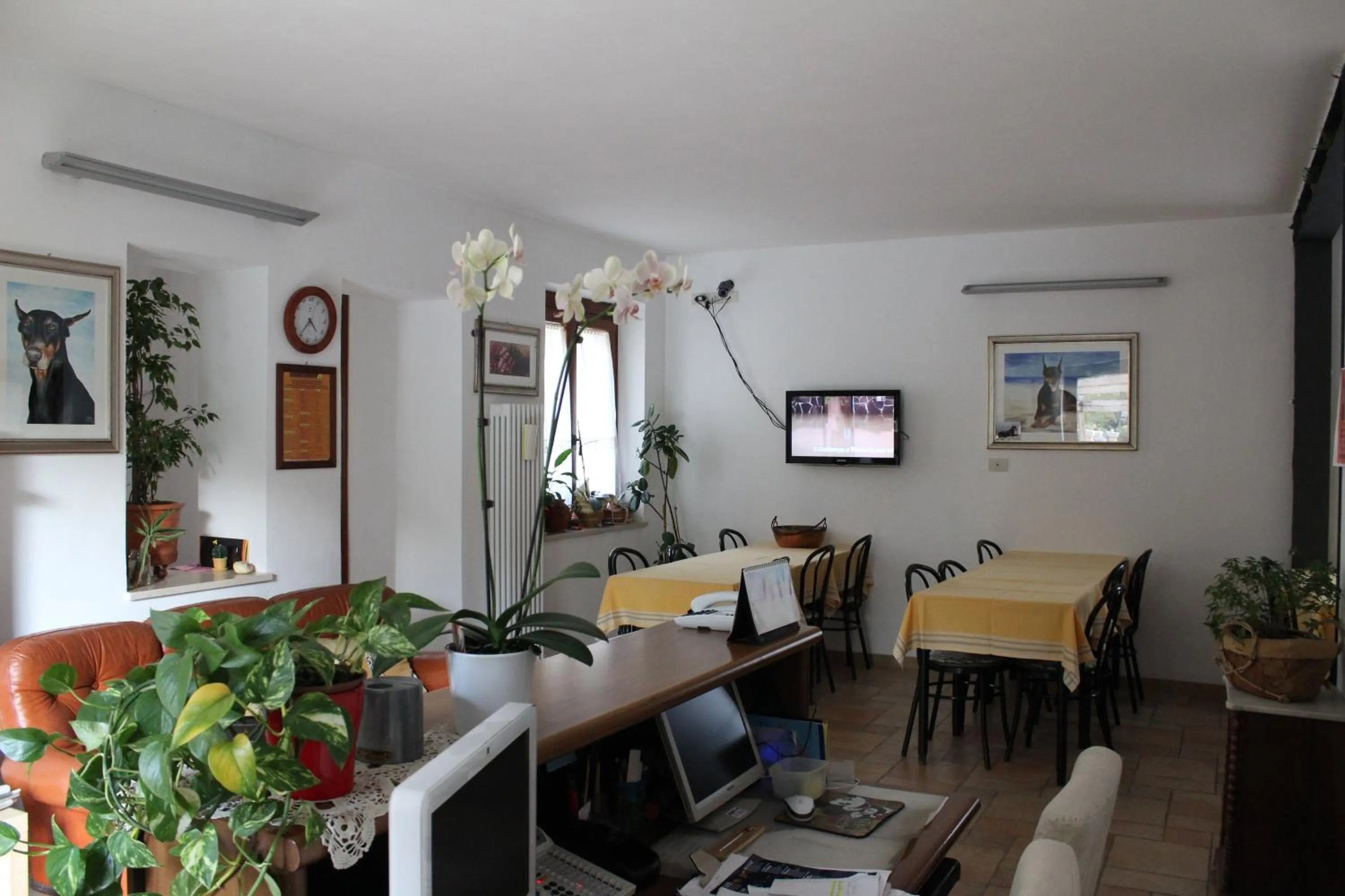 Lobby or reception in Villa Rosy