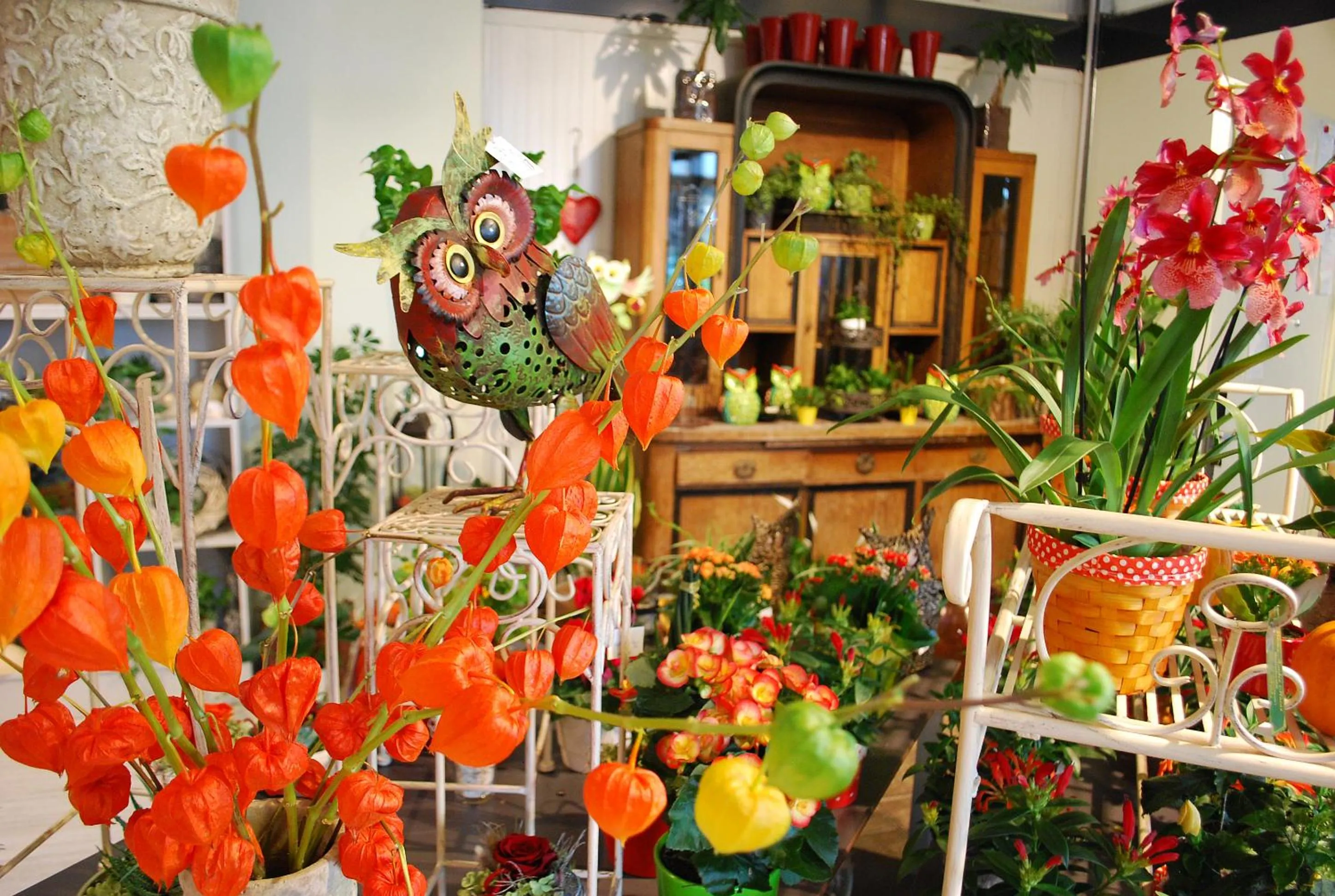 On-site shops in Kaiserrast