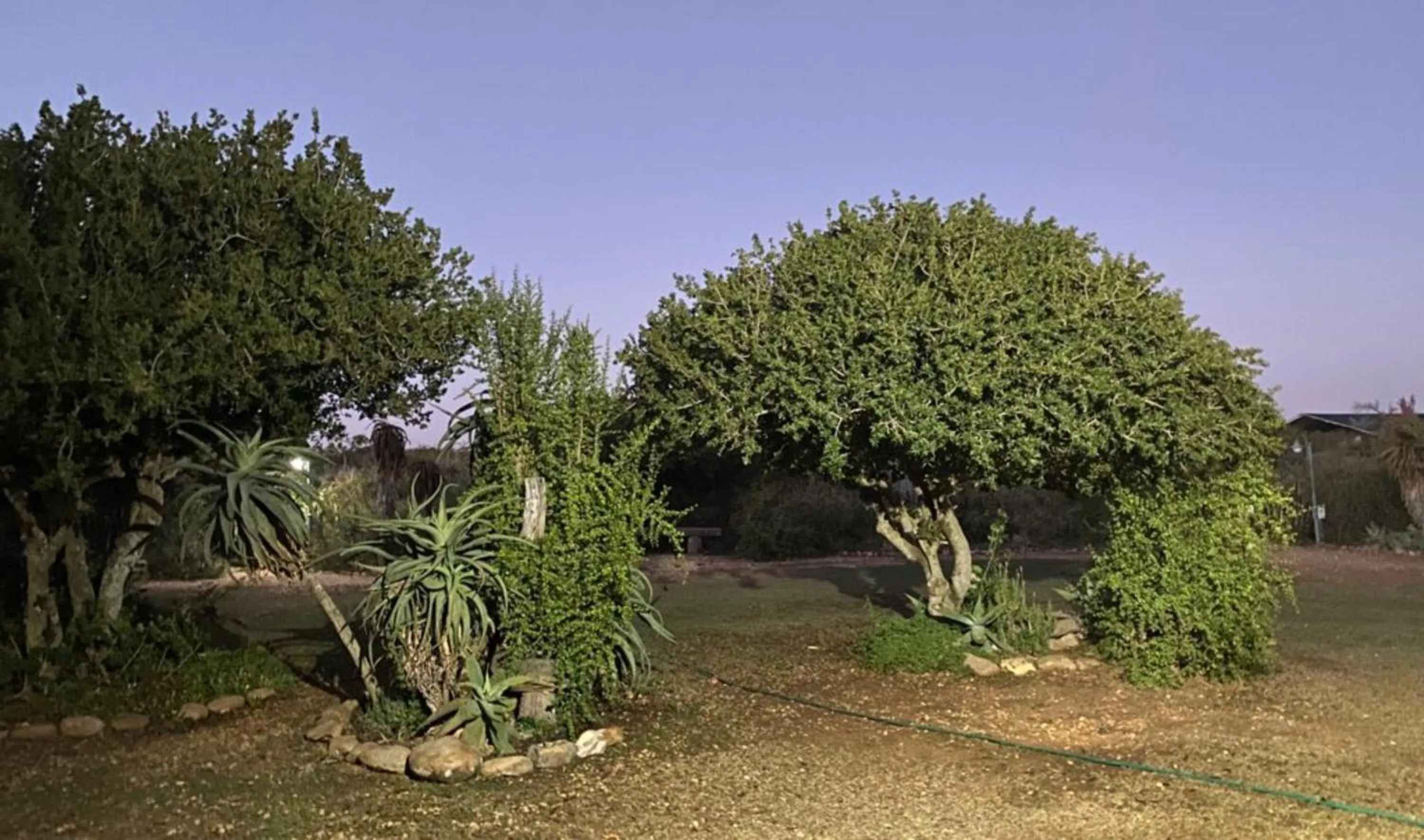 Garden in Kudu Ridge Game Lodge