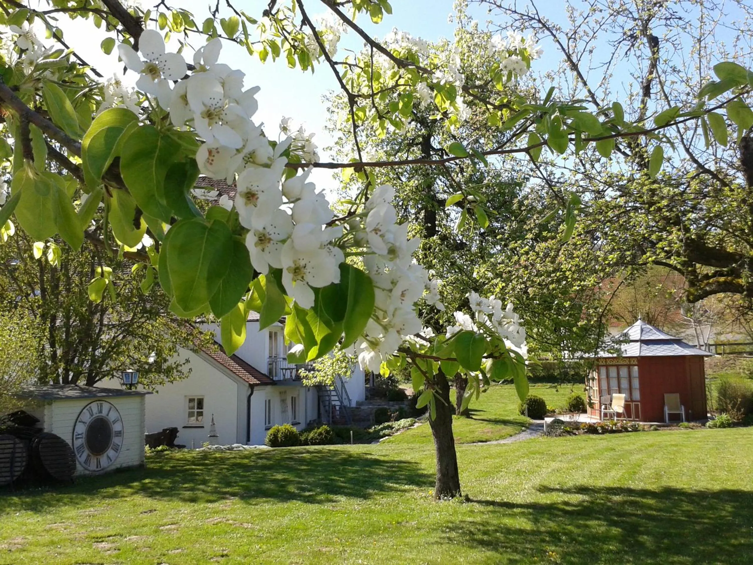 Area and facilities in Hotel Gewürzmühle