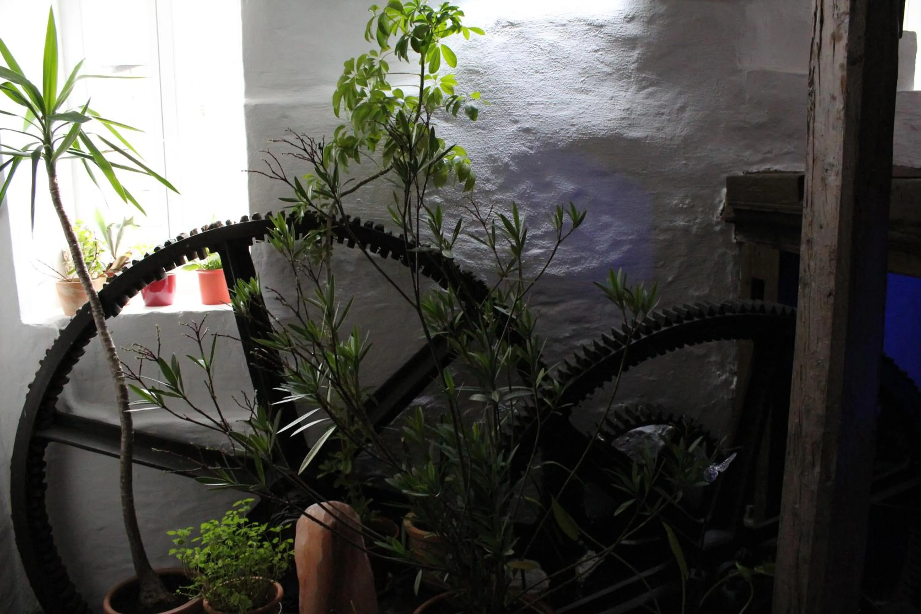 Other in Hotel Gewürzmühle