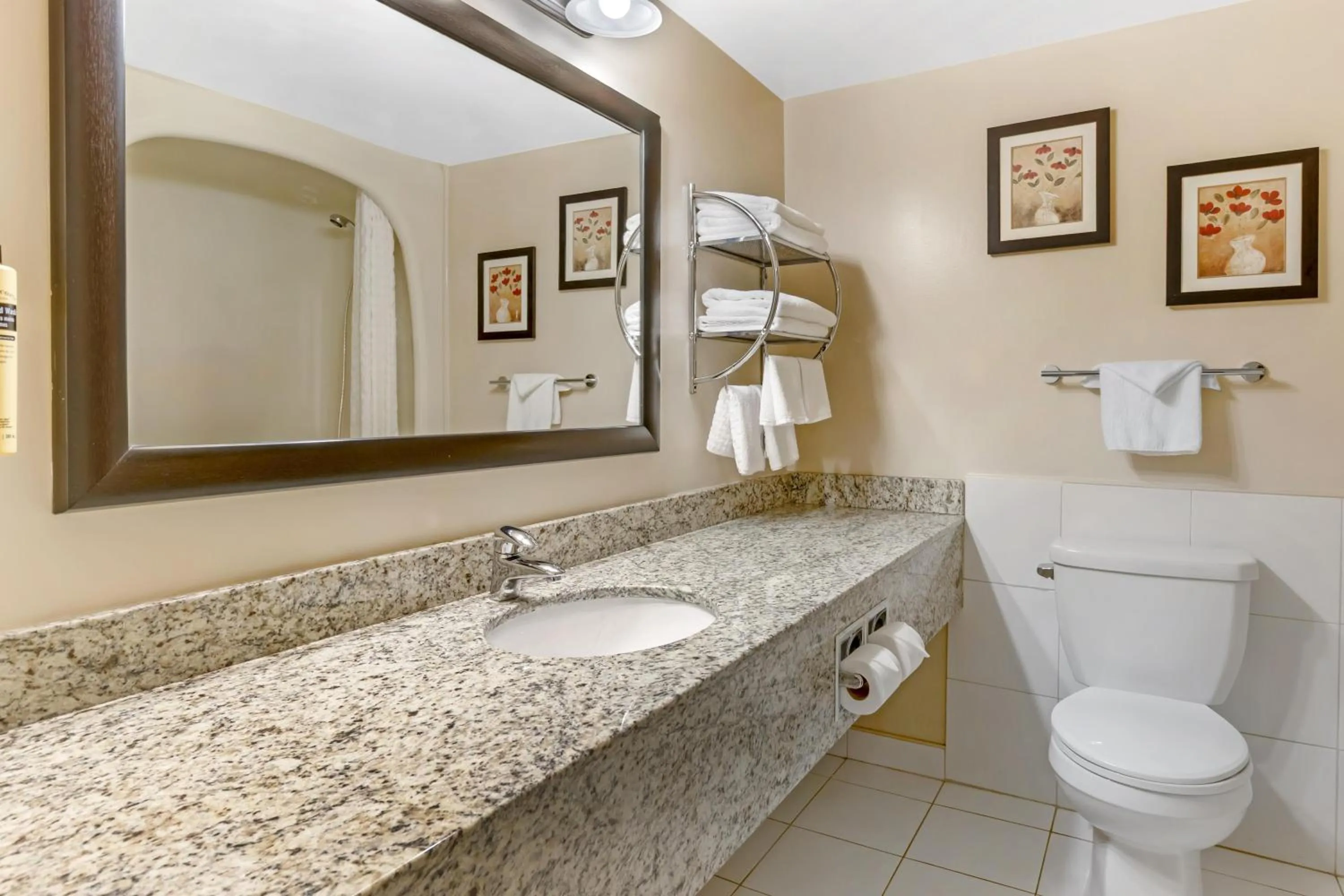 Bathroom in Best Western Plus Dryden Hotel and Conference Centre