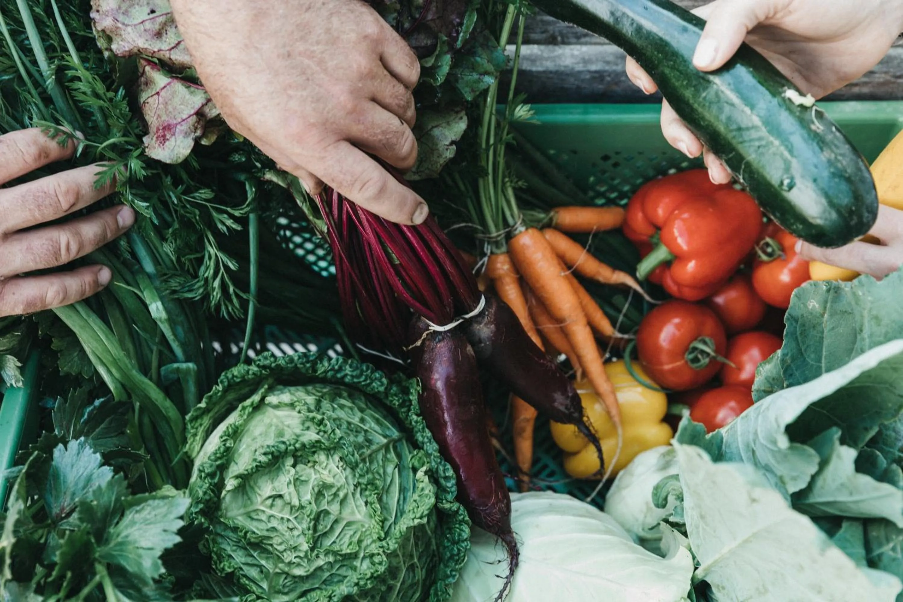 Restaurant/places to eat in Biohotel Rupertus