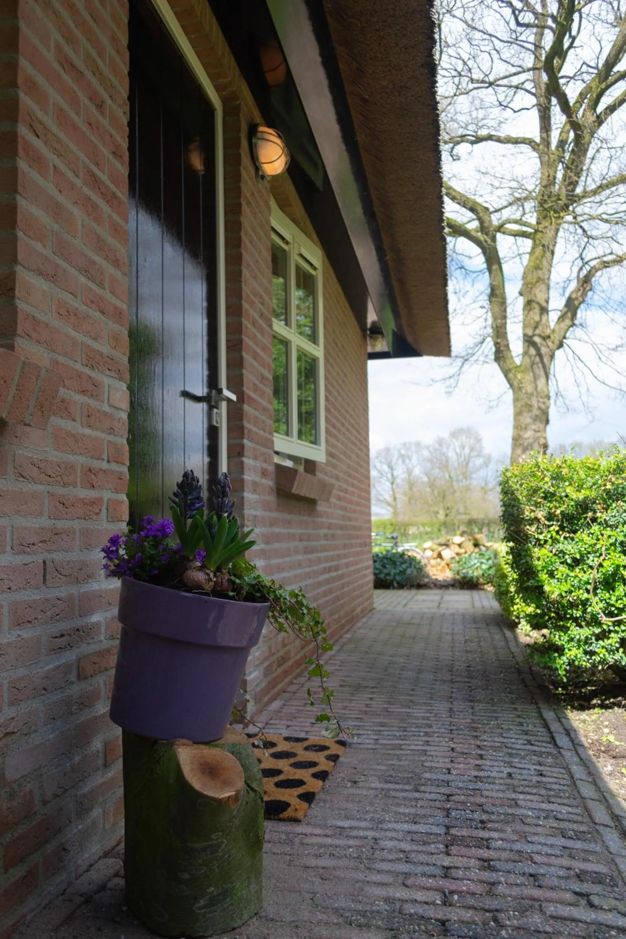 Facade/entrance in 't Rheebokje