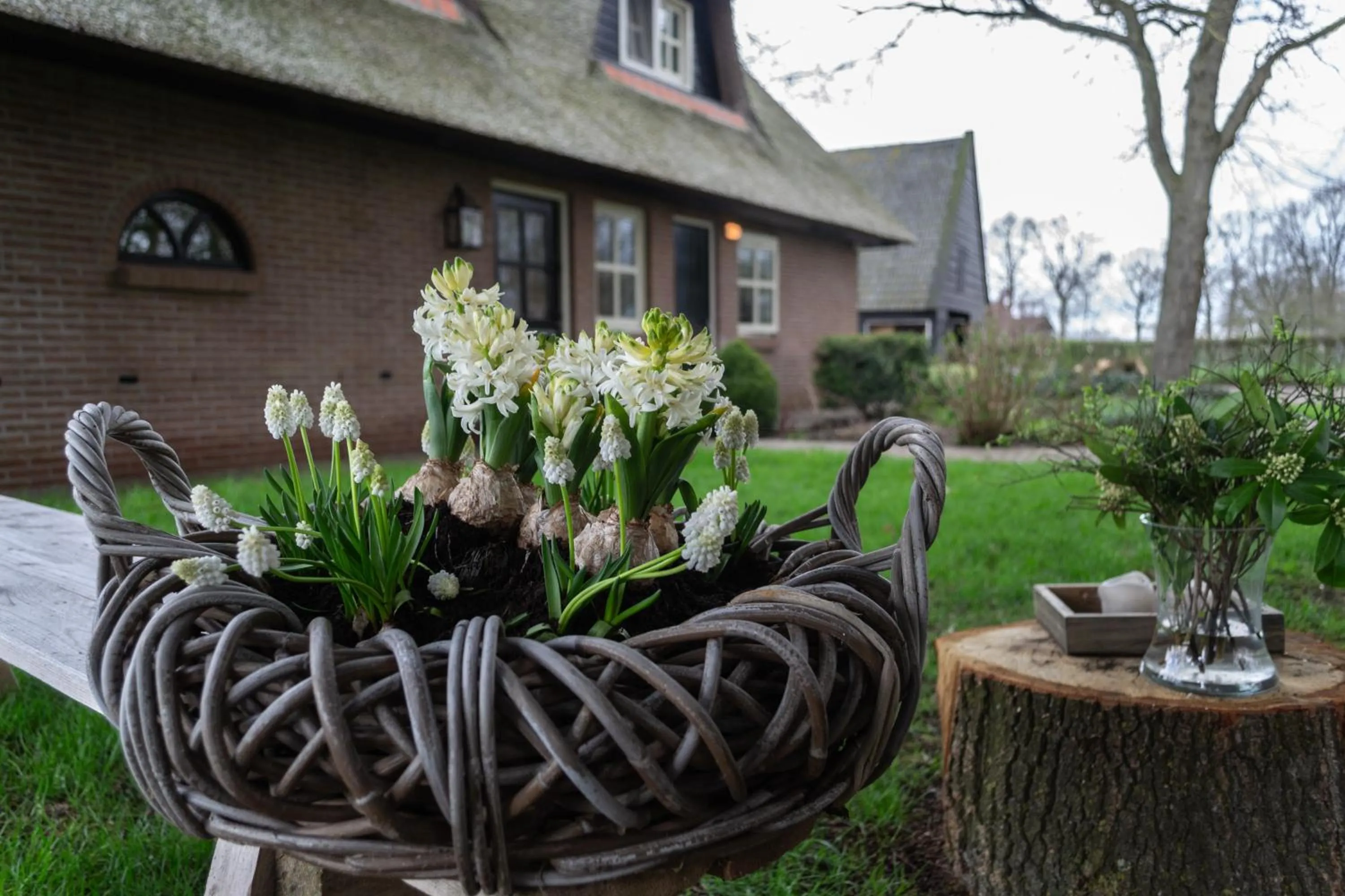 Garden in 't Rheebokje
