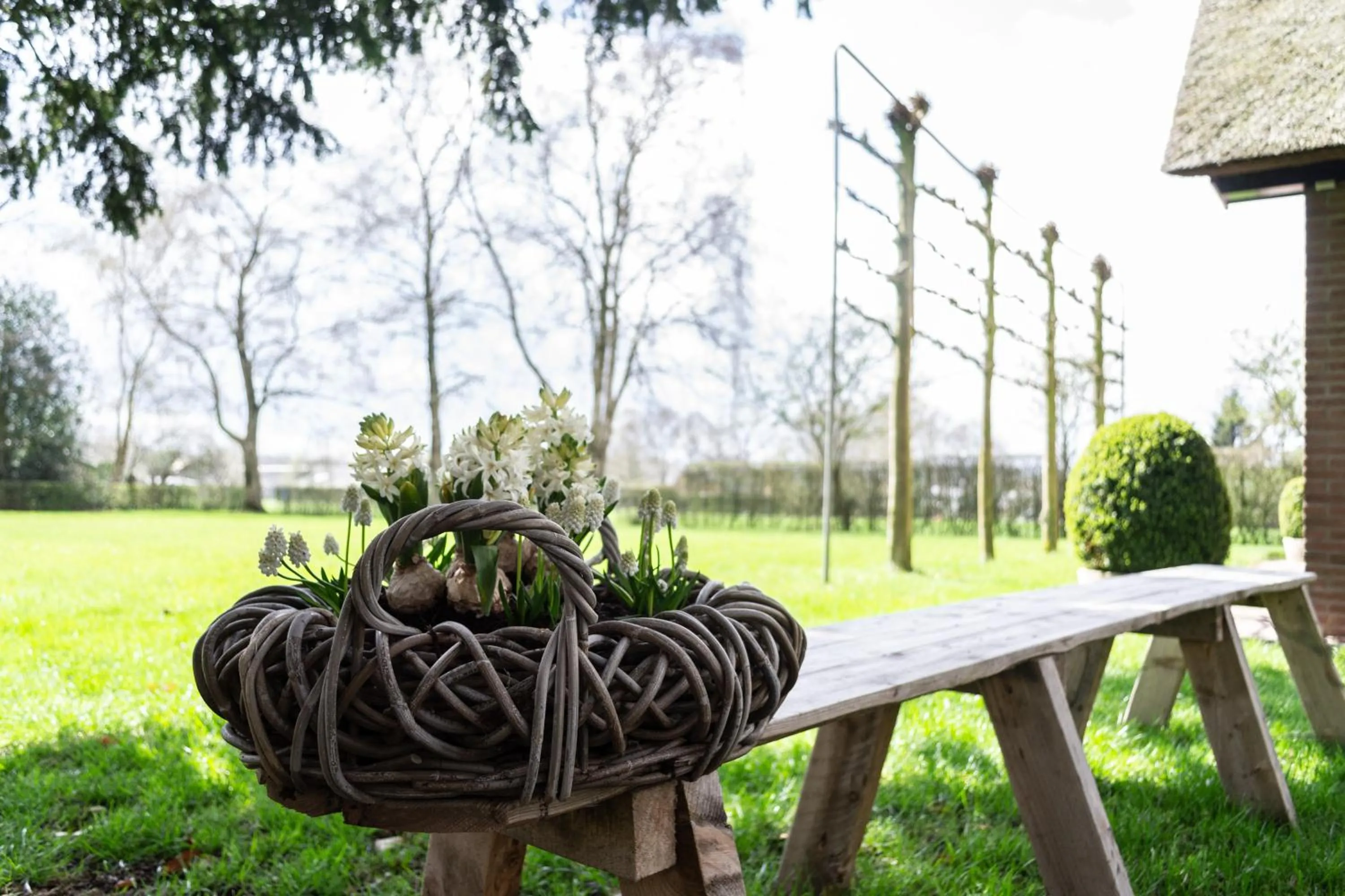 Natural landscape in 't Rheebokje