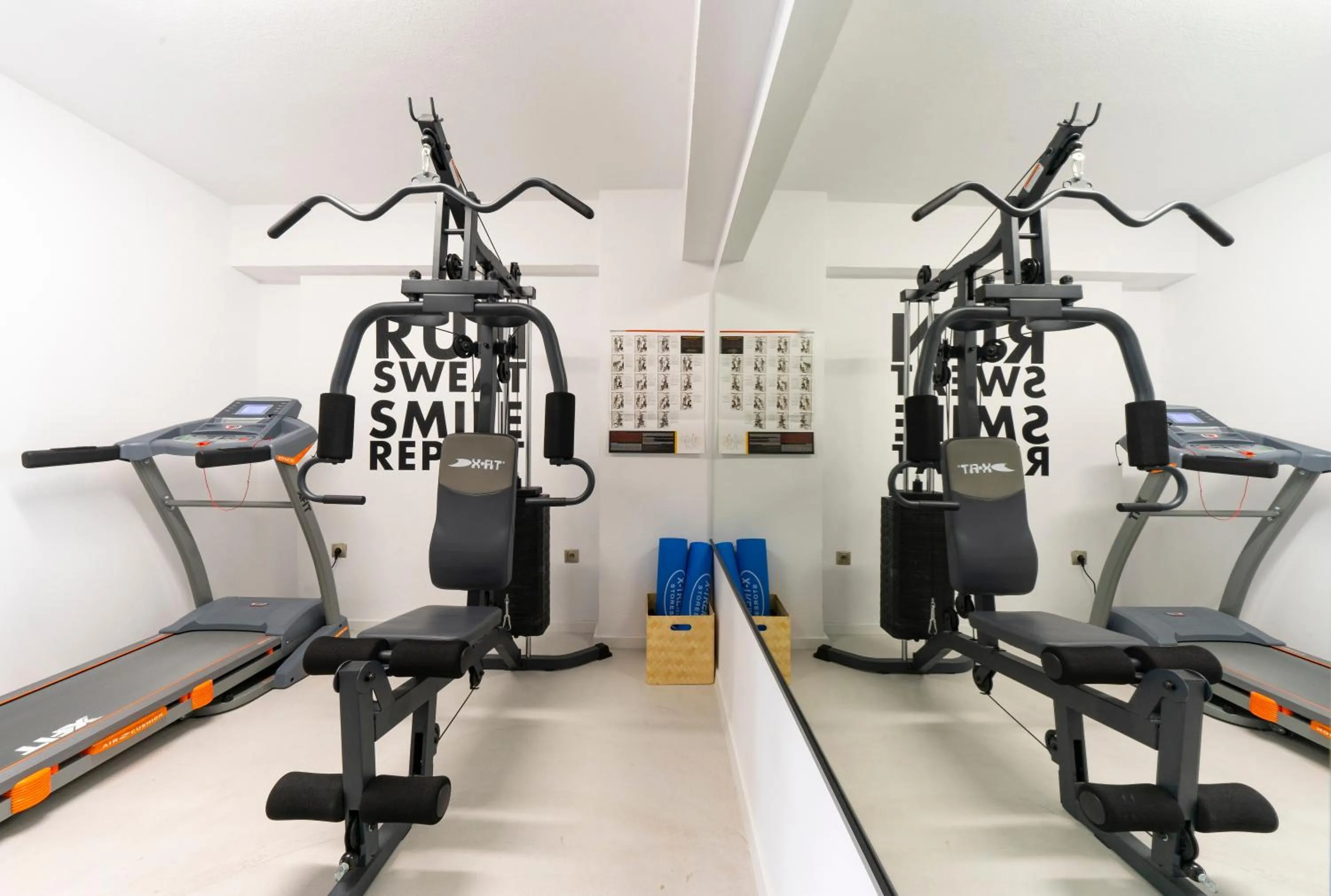 Fitness centre/facilities in The Anthemion House