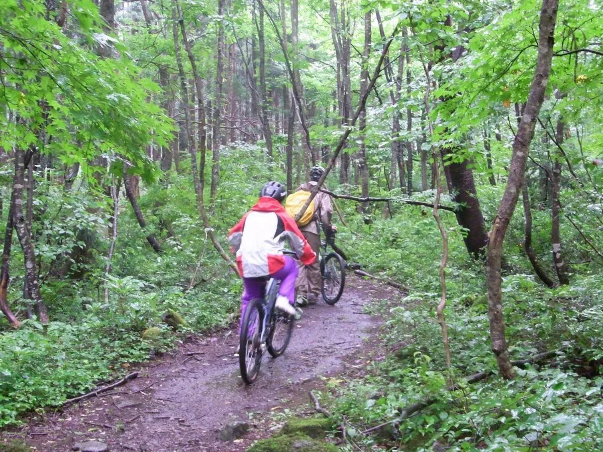 Activities in Hakuba Yamano Hotel