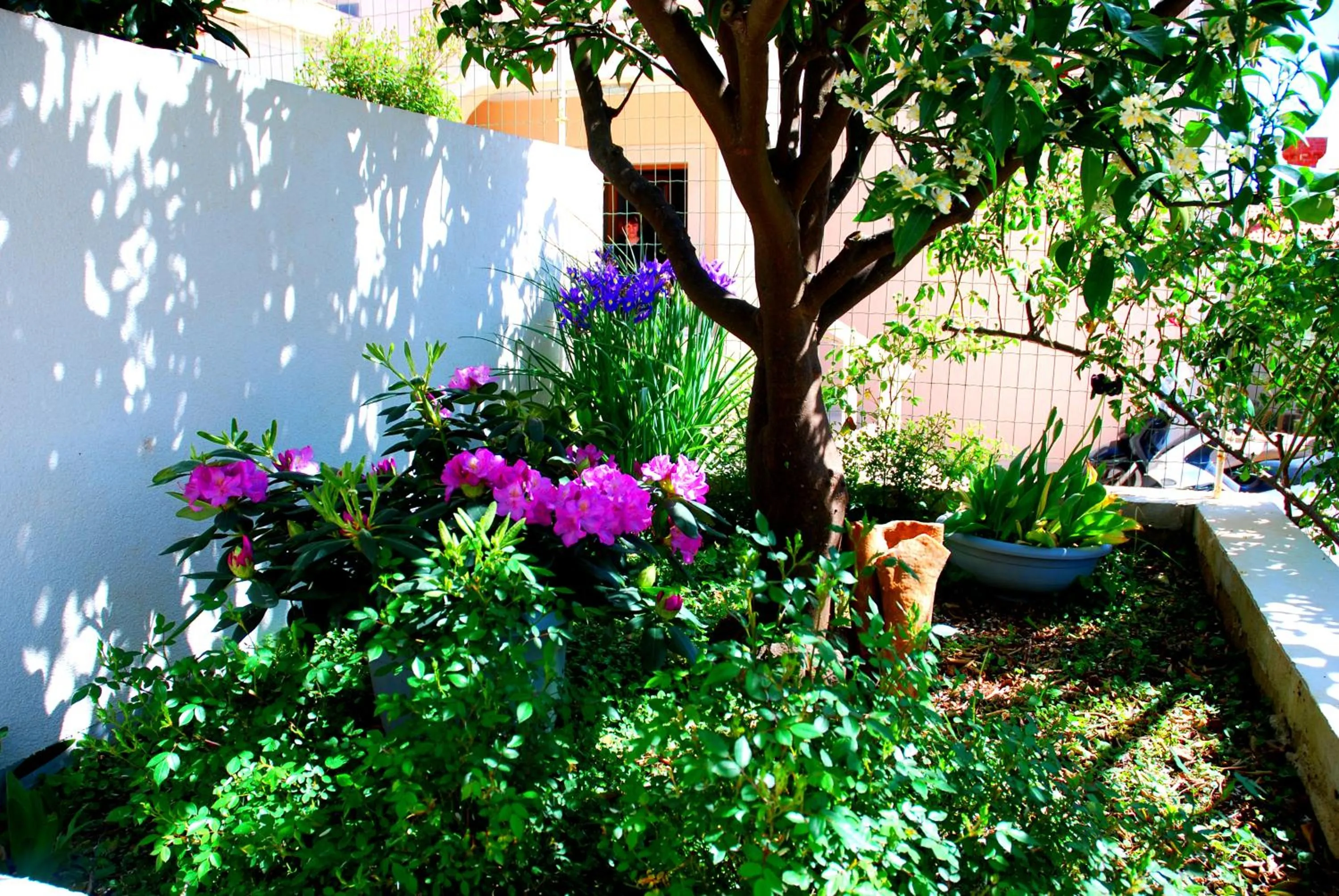Day in Summer Breeze Cavtat