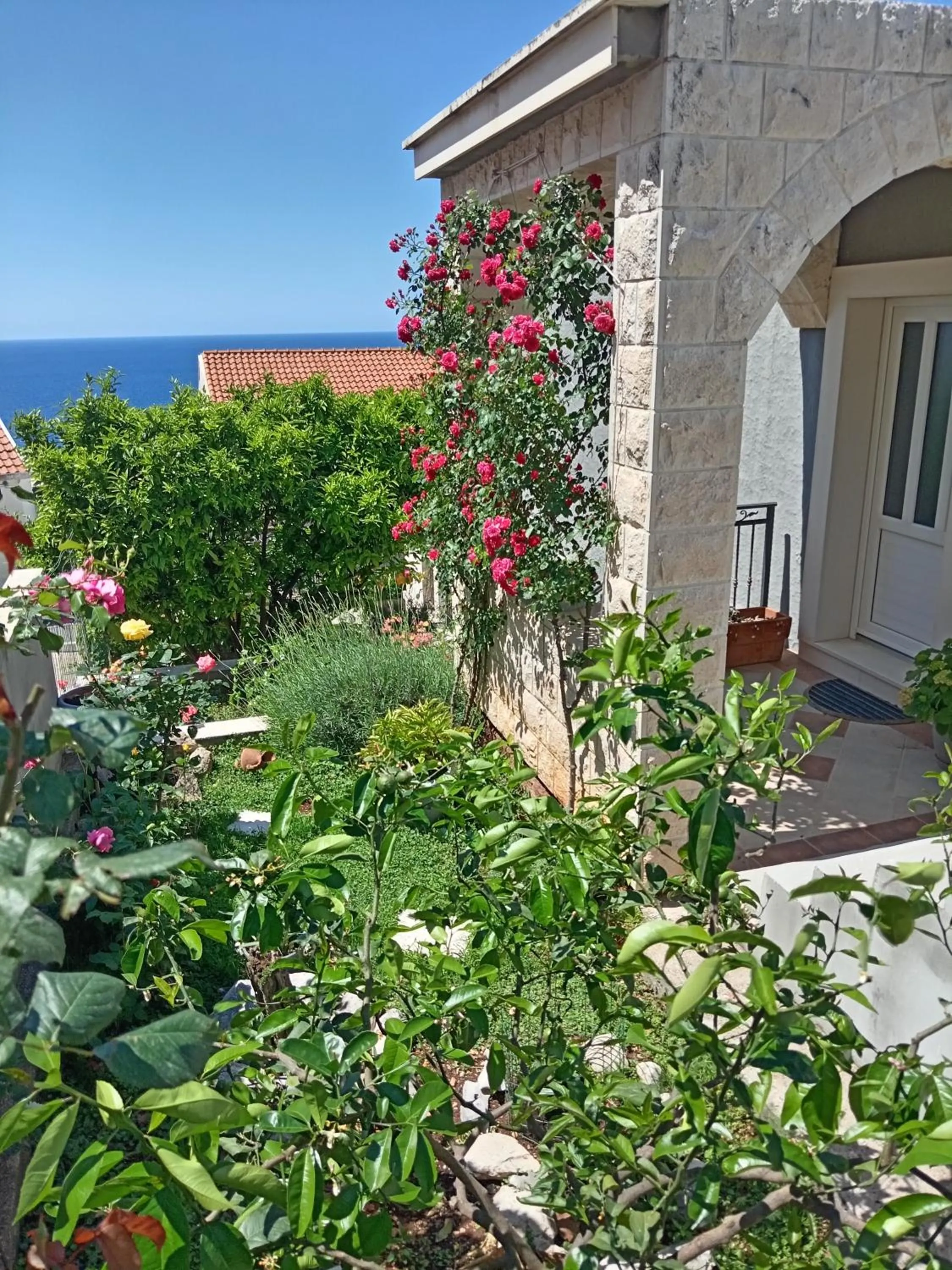 Summer Breeze Cavtat