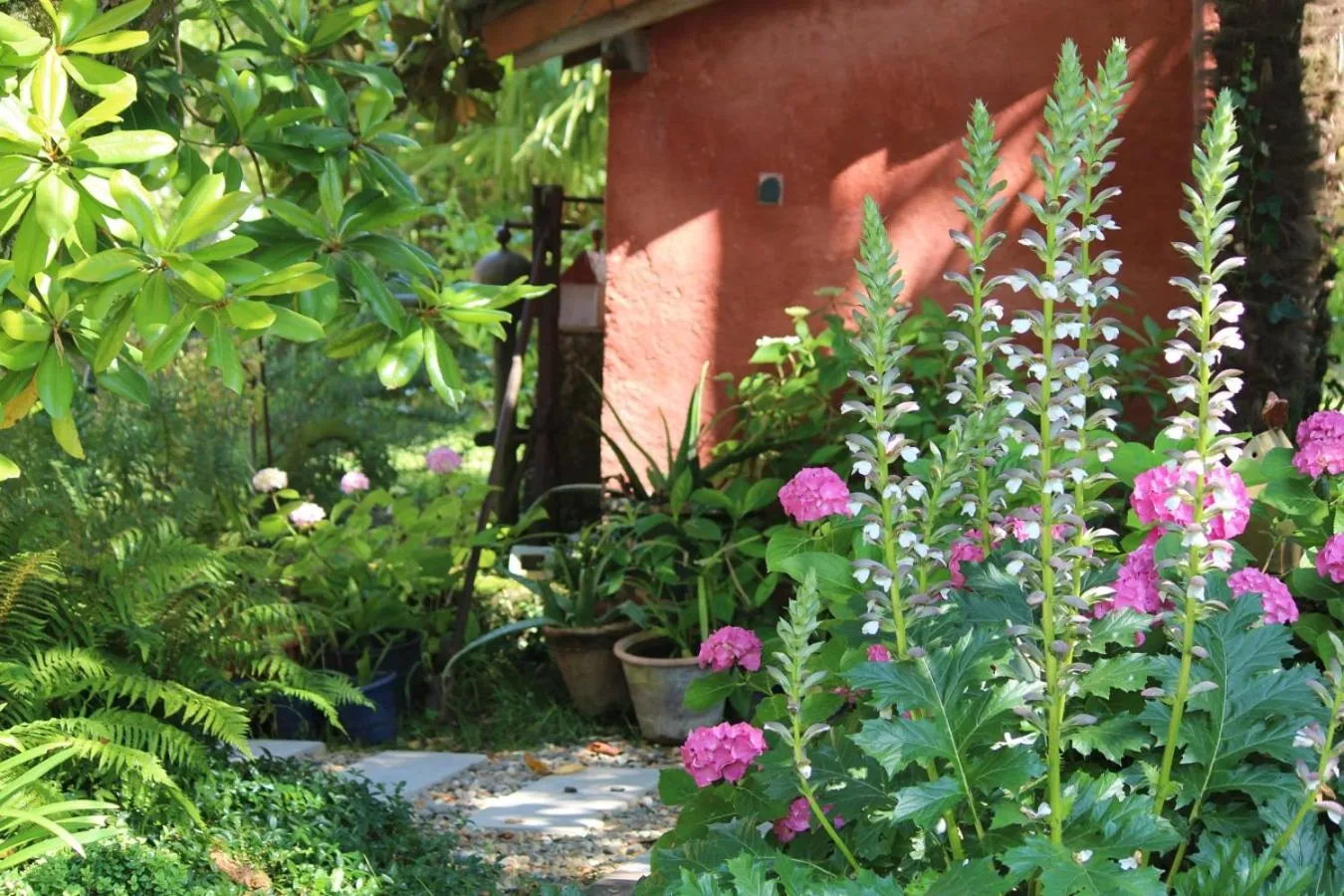 Garden view in Maison Poche