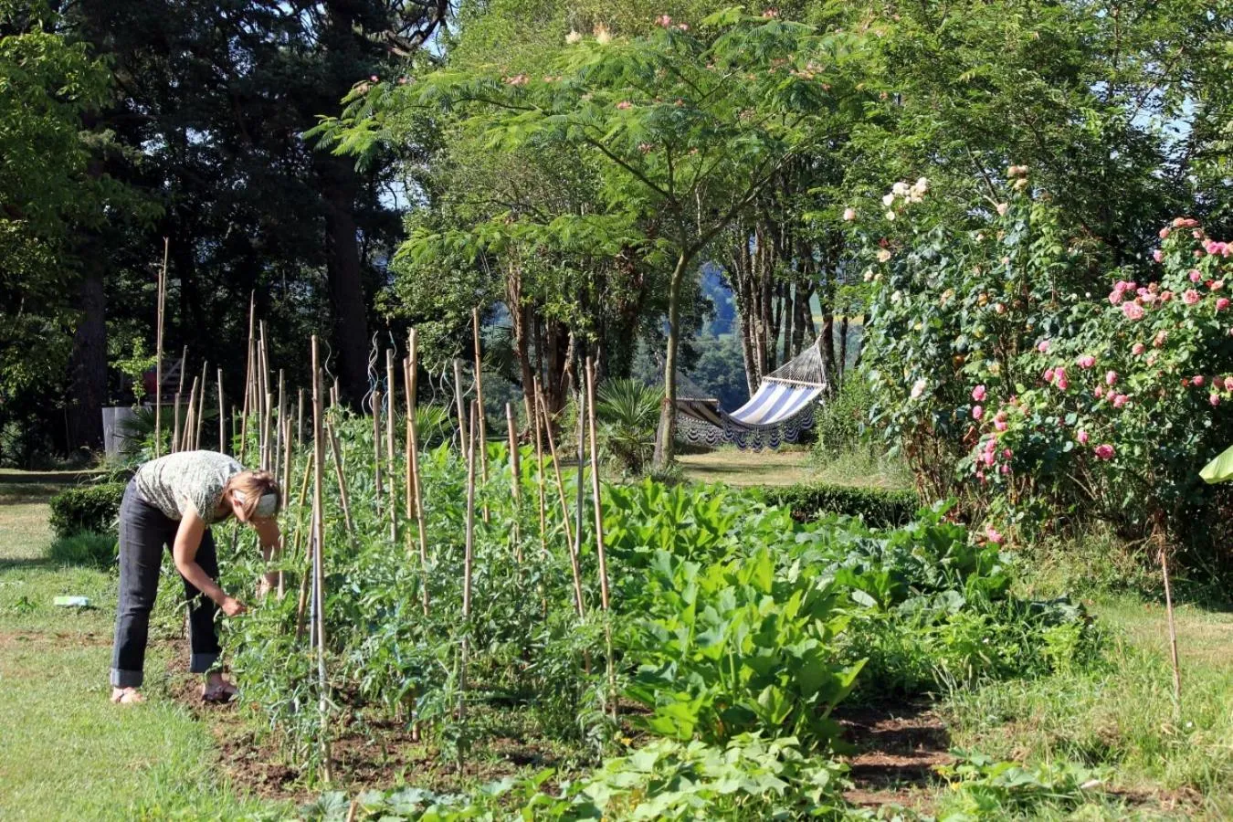Garden view in Maison Poche