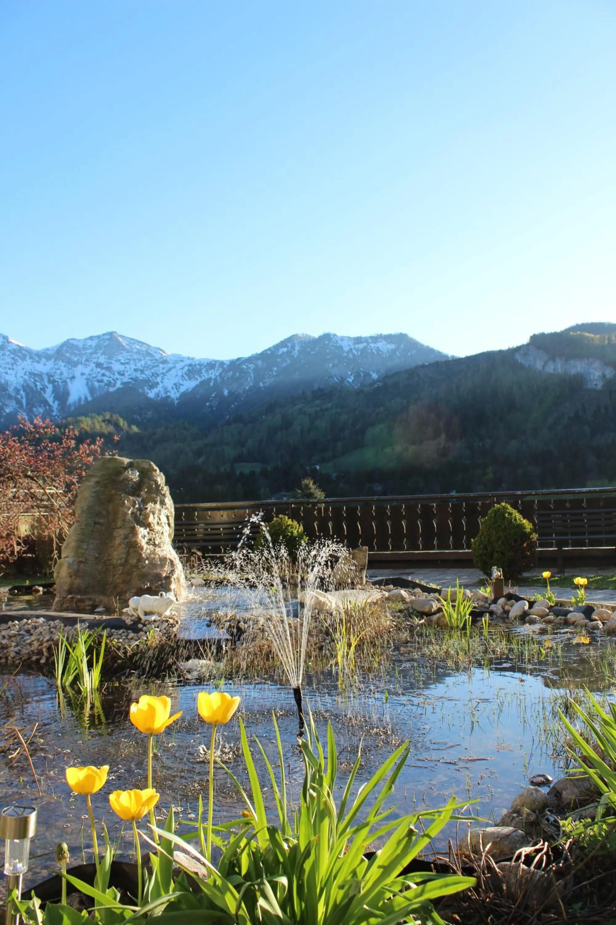 Garden in Hotel Lindwurm