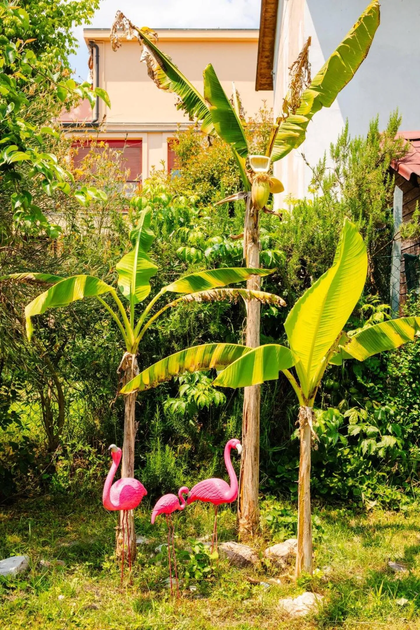 Garden in House Garden Loft